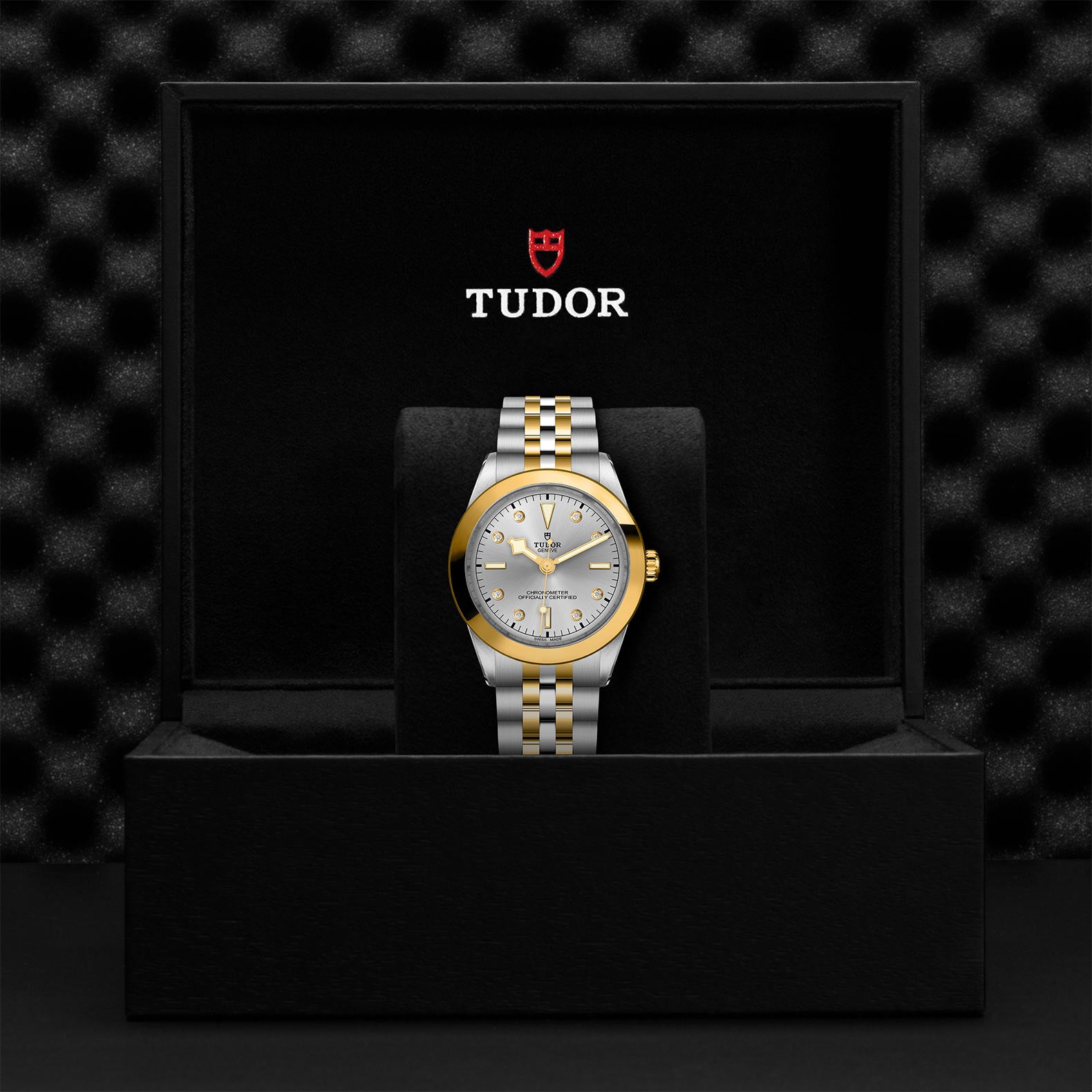 TUDOR Black Bay 39 S&G M79663-0007