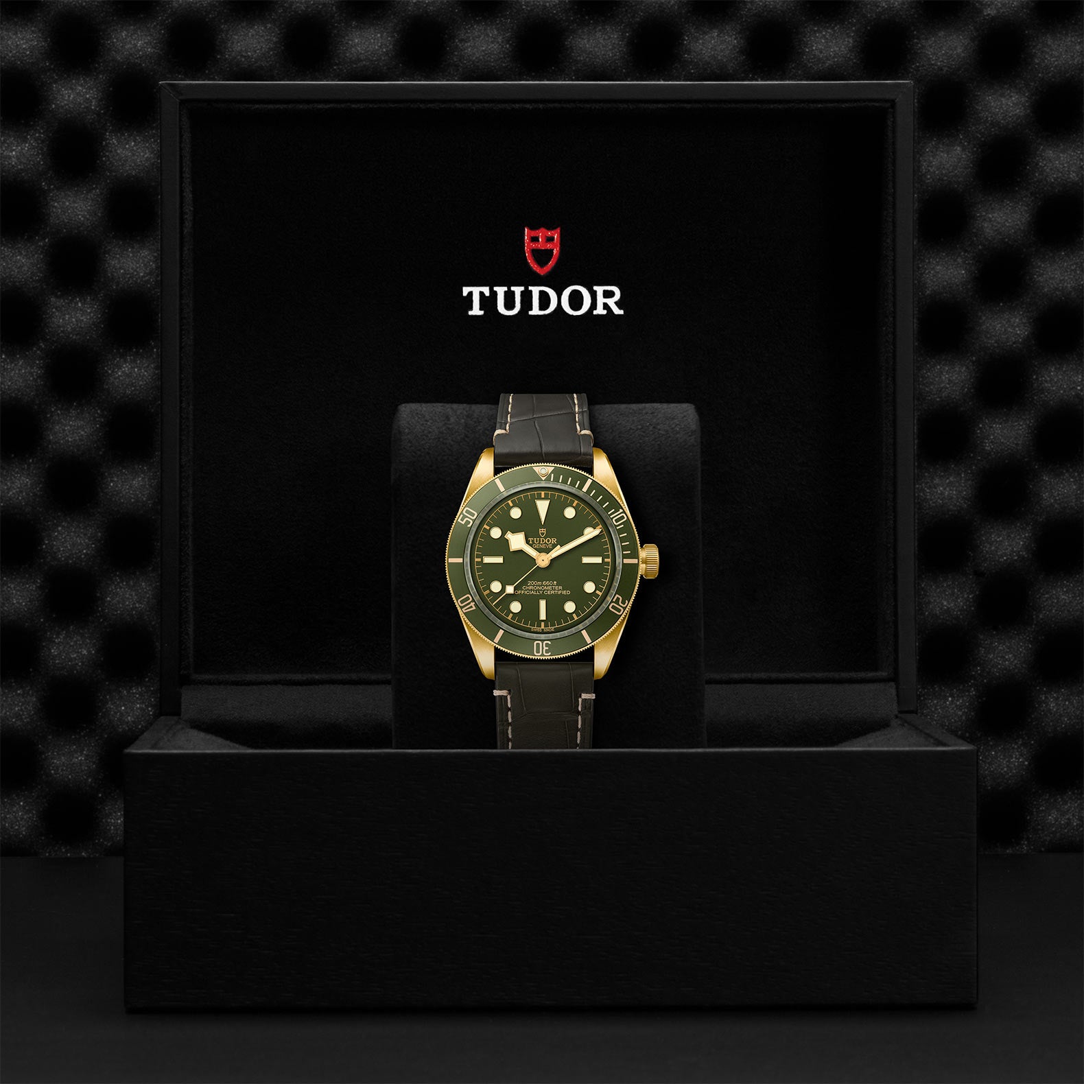 TUDOR Black Bay Fifty-Eight 18k M79018V-0001