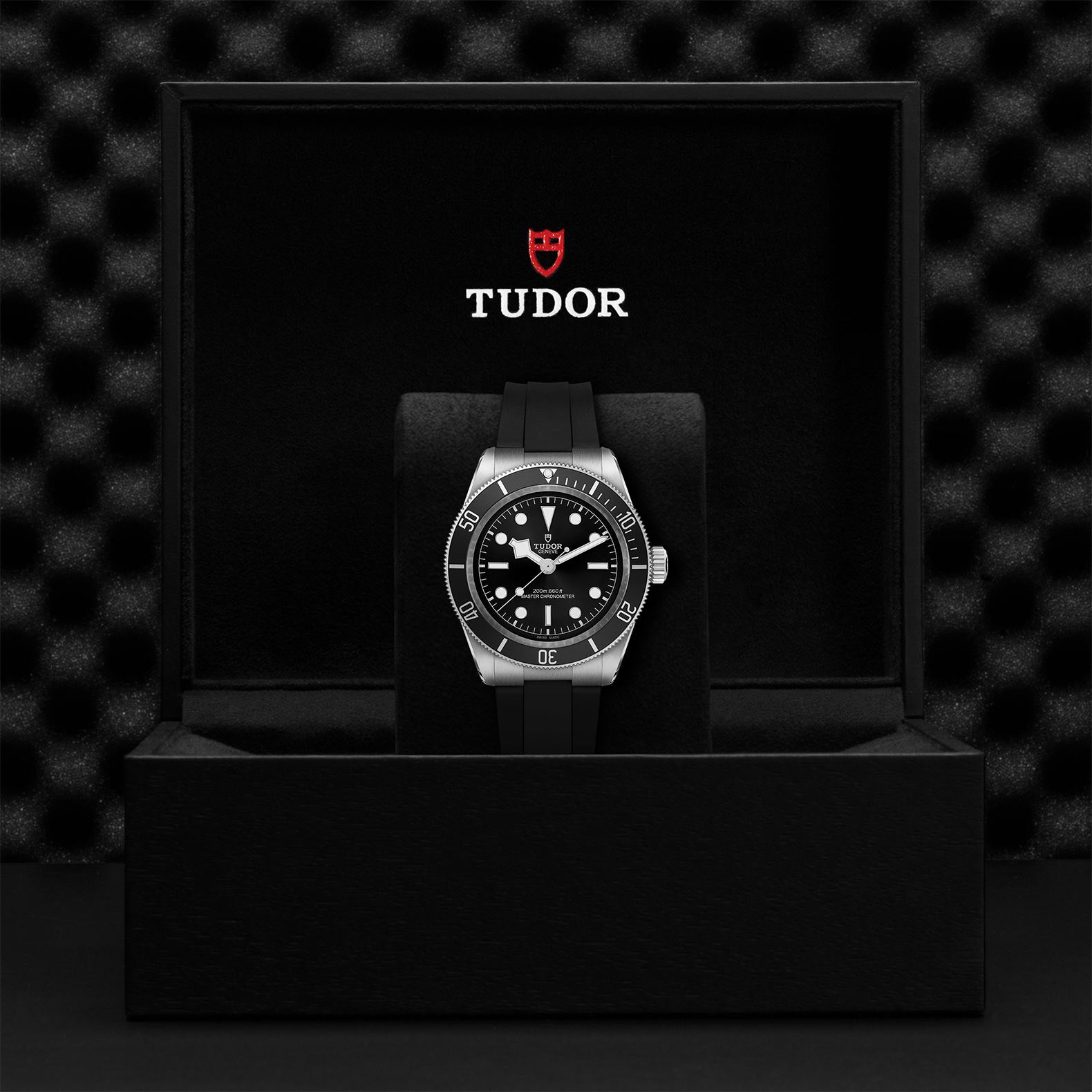 TUDOR Black Bay M7941A1A0NU-0002