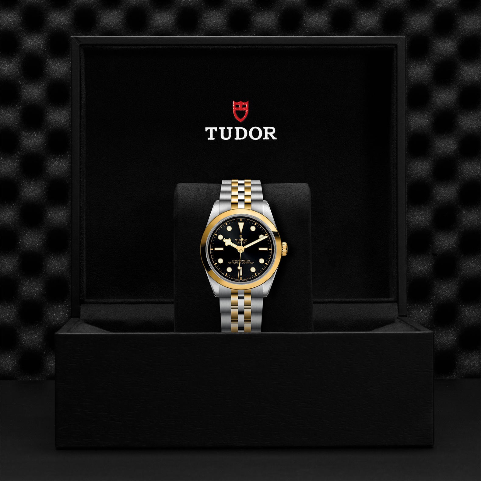 TUDOR Black Bay 36 S&G M79643-0001