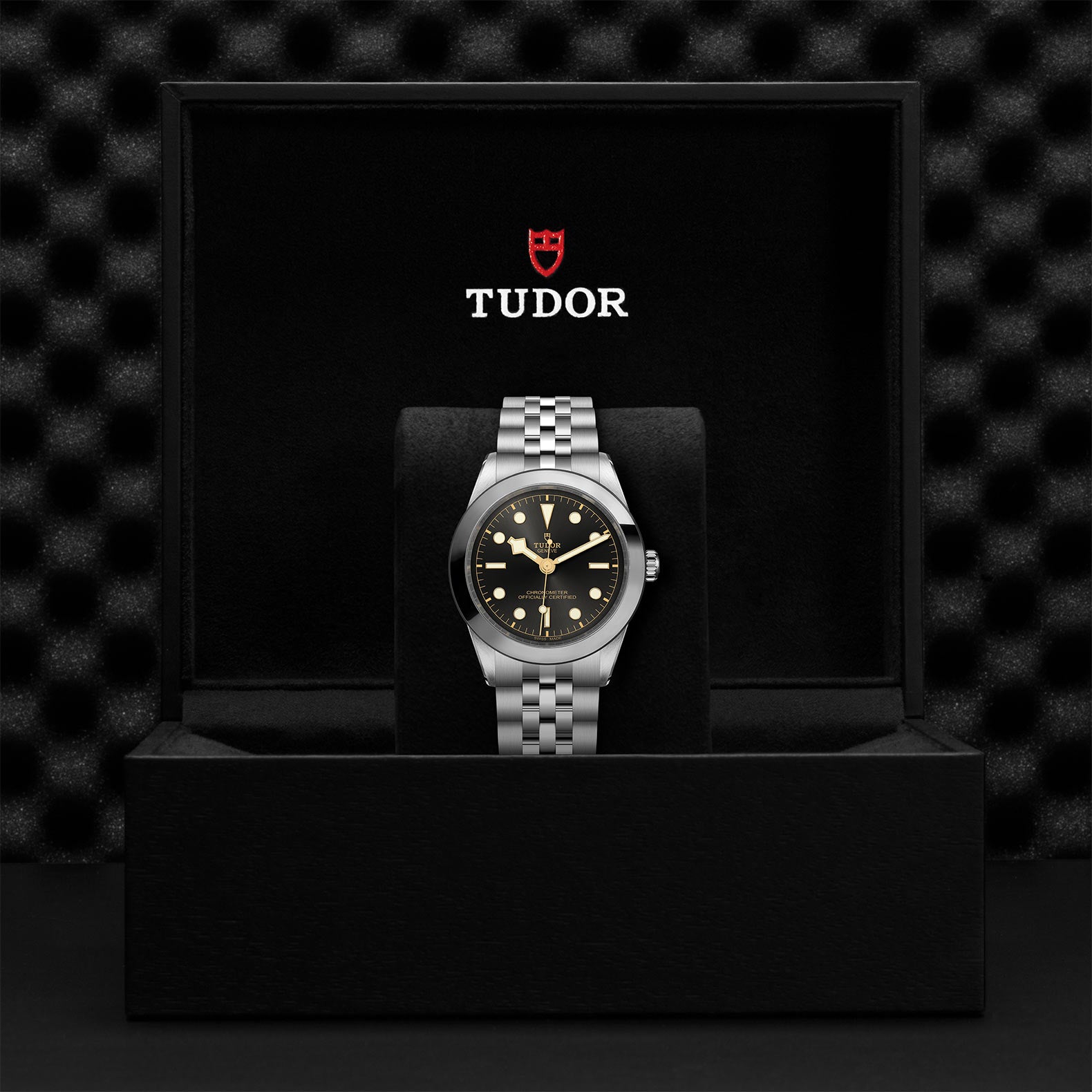 TUDOR Black Bay 39 M79660-0001