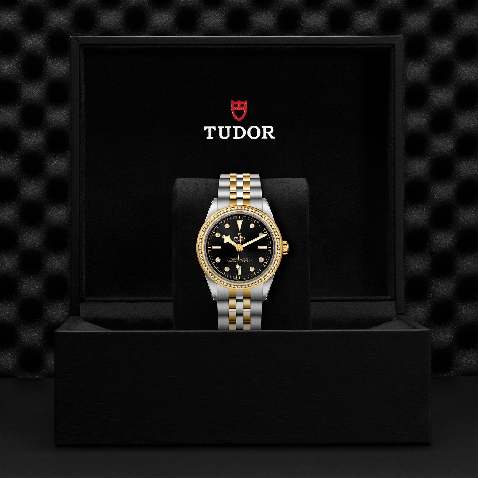 TUDOR Black Bay 39 S&G M79673-0005