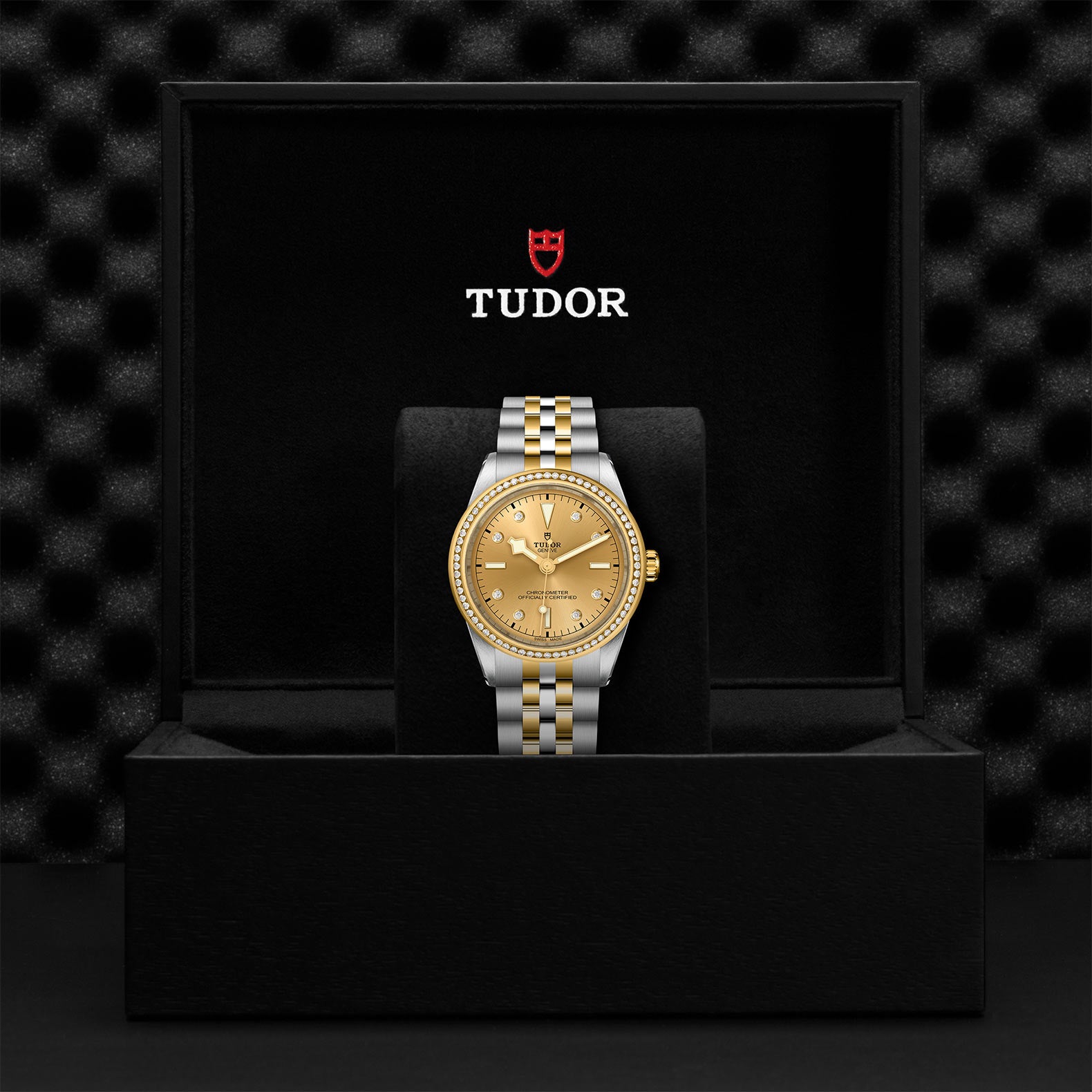 TUDOR Black Bay 39 S&G M79673-0007