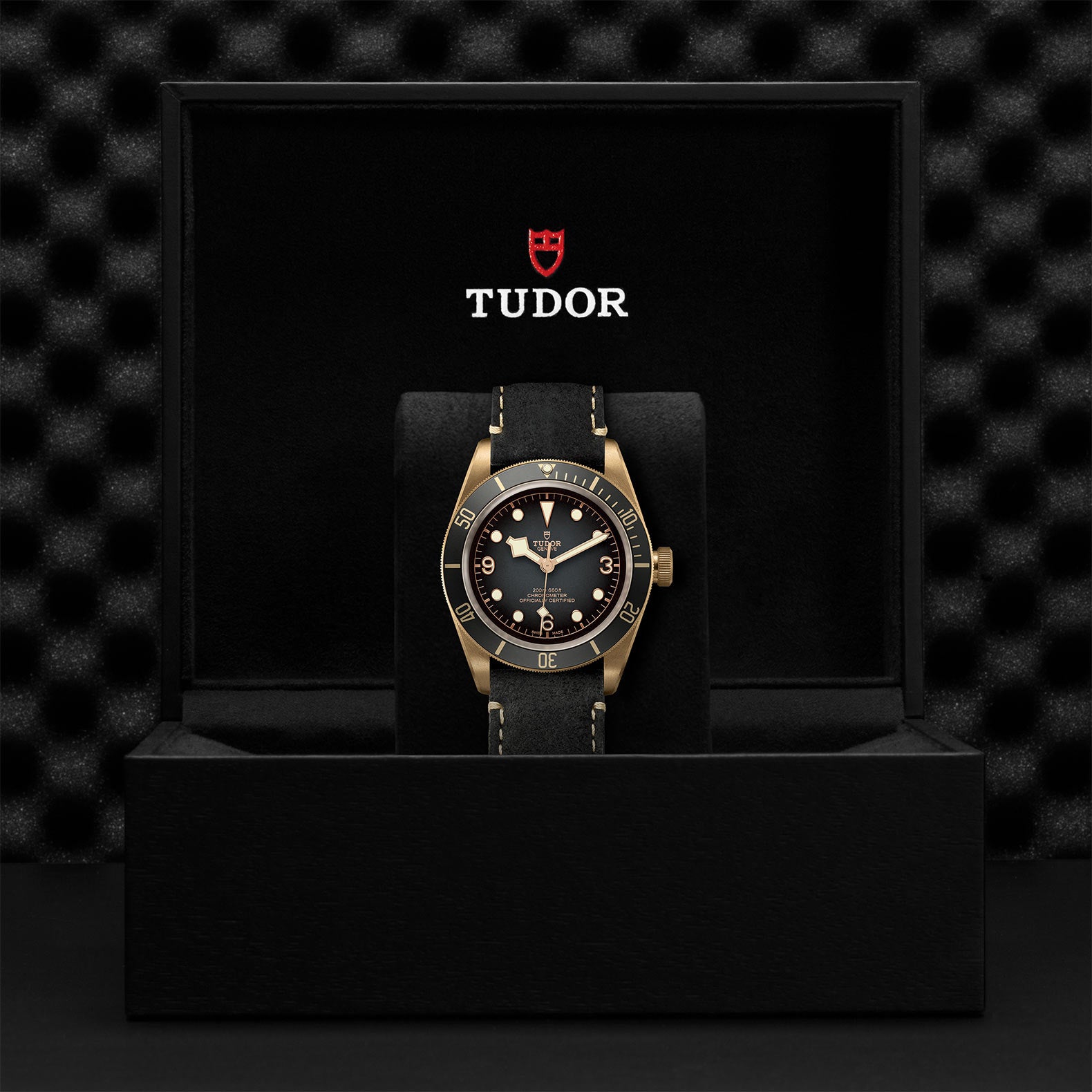 TUDOR Black Bay Bronze 43mm M79250BA-0001
