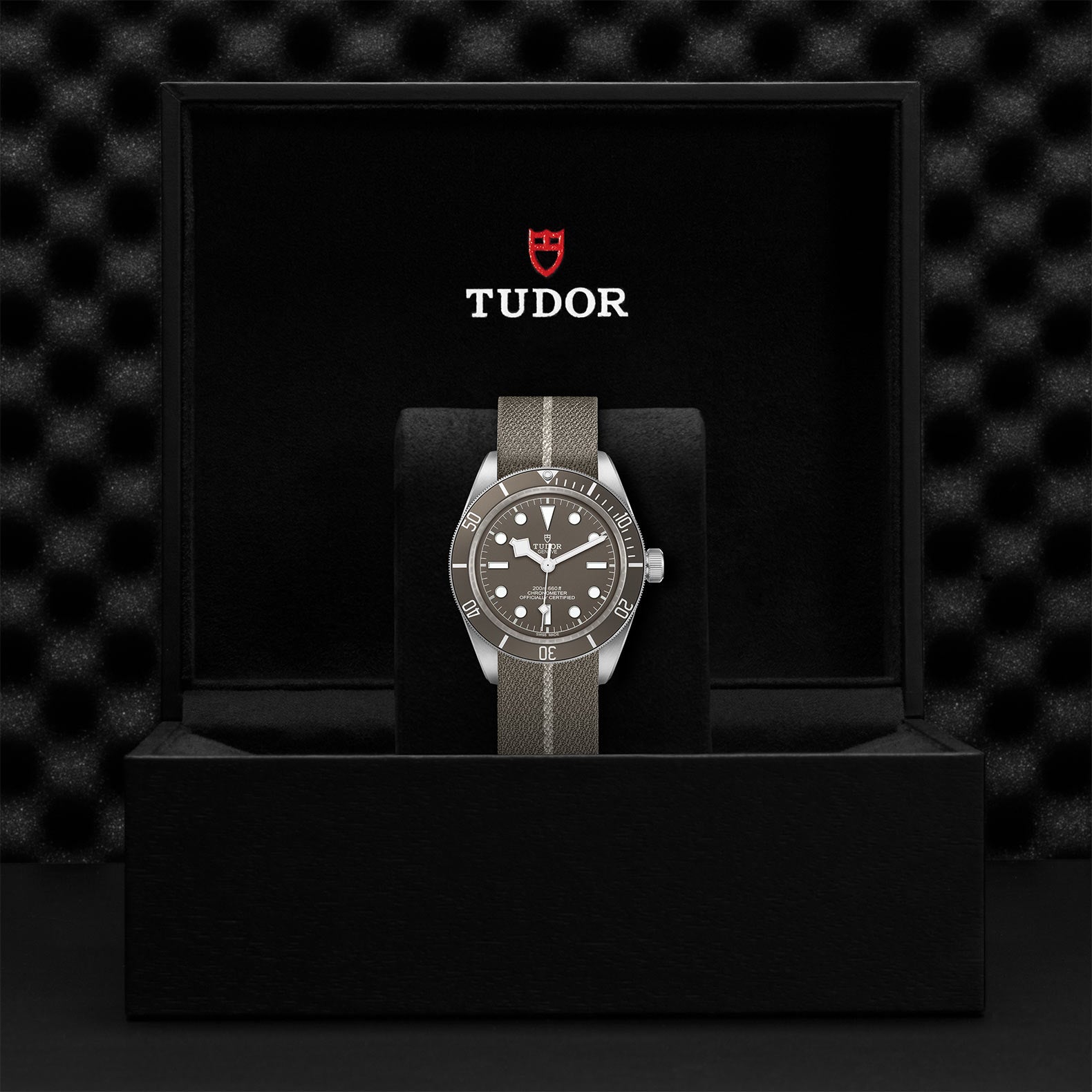 TUDOR Black Bay Fifty-Eight 925 M79010SG-0002