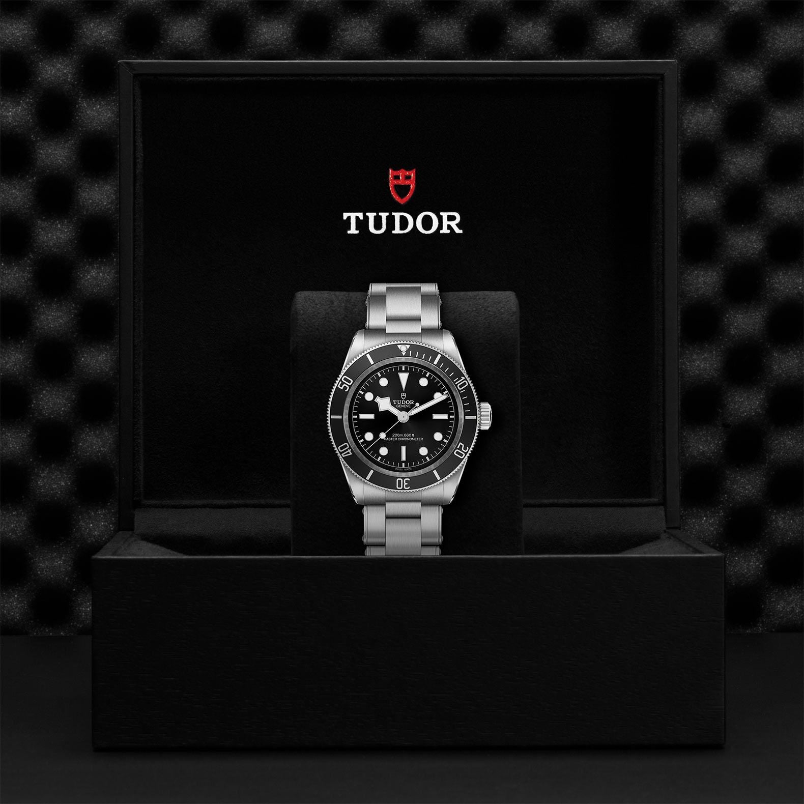 TUDOR Black Bay M7941A1A0NU-0001