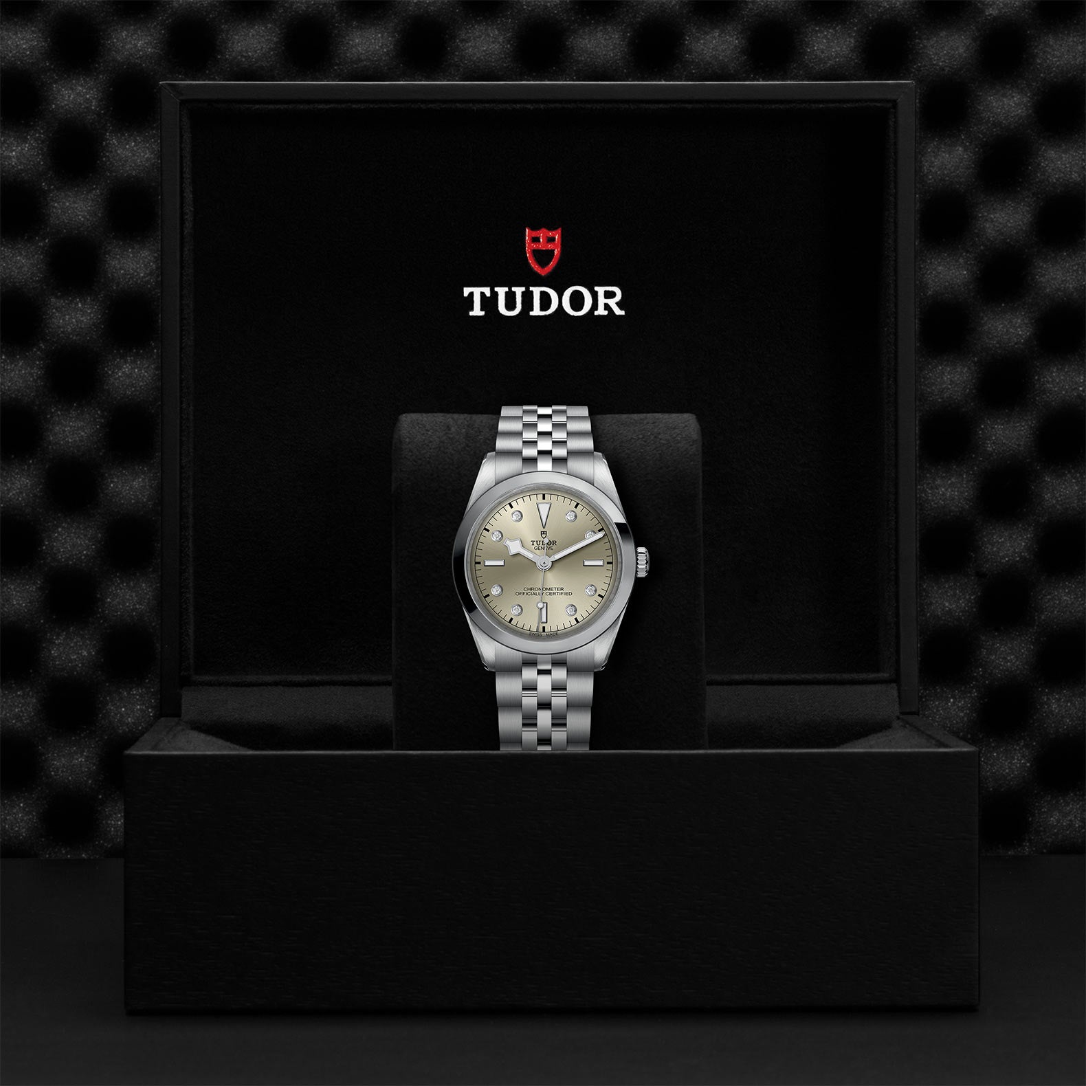 TUDOR Black Bay 36 M79640-0006
