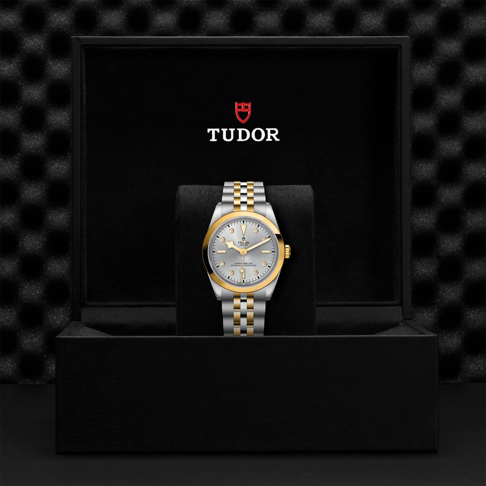 TUDOR Black Bay 36 S&G M79643-0007