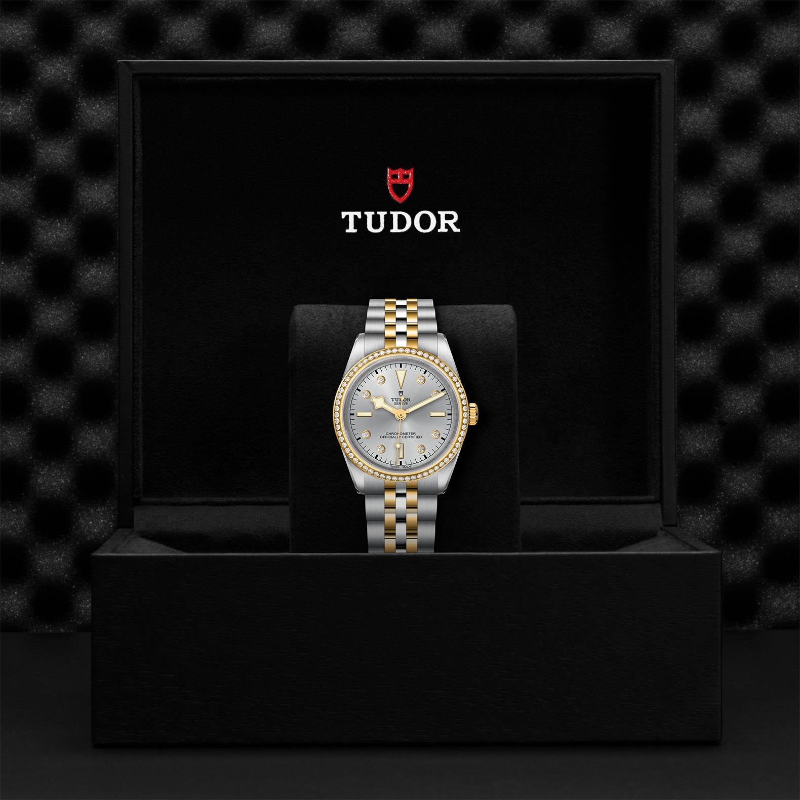 TUDOR Black Bay 36 S&G M79653-0006