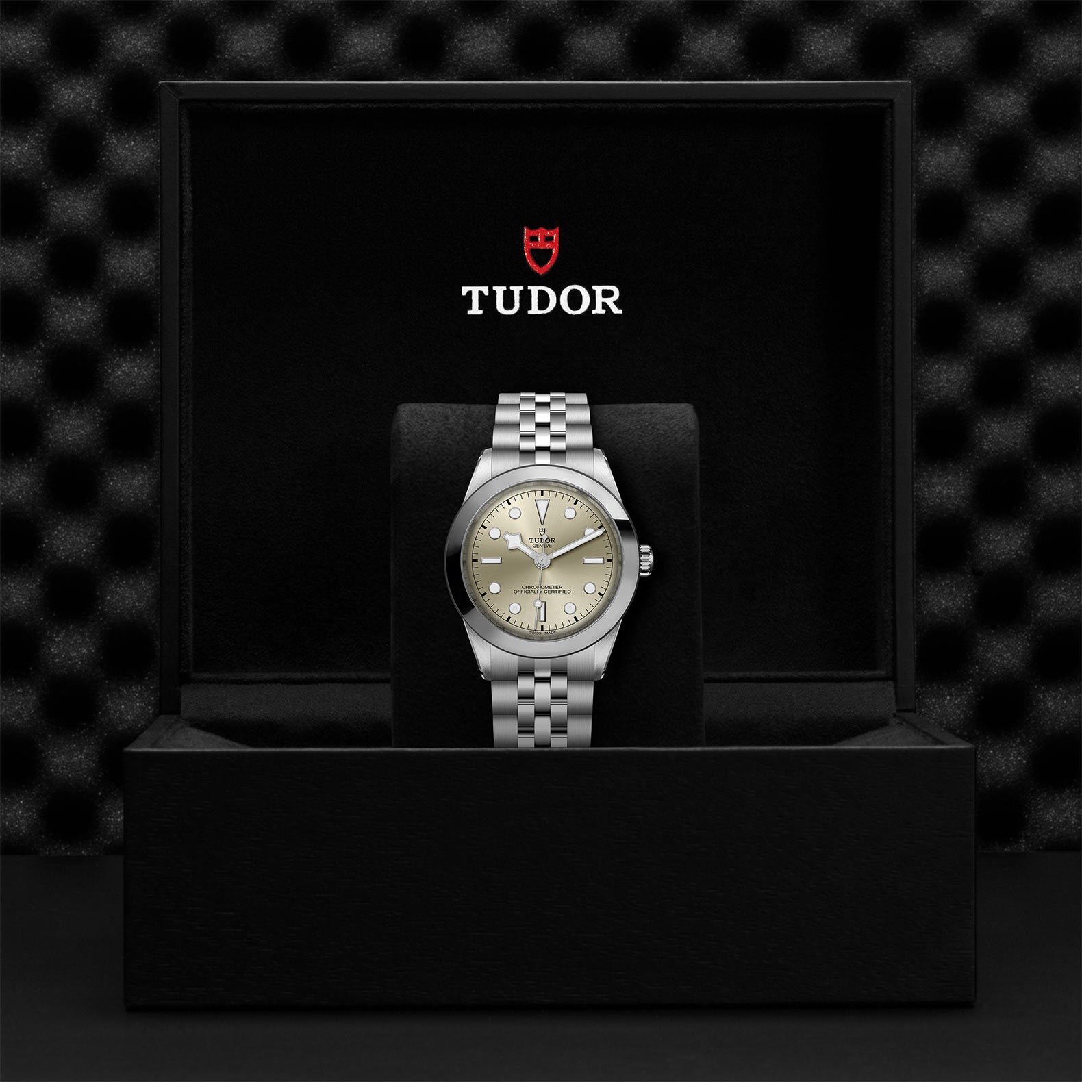 TUDOR Black Bay 39 M79660-0003