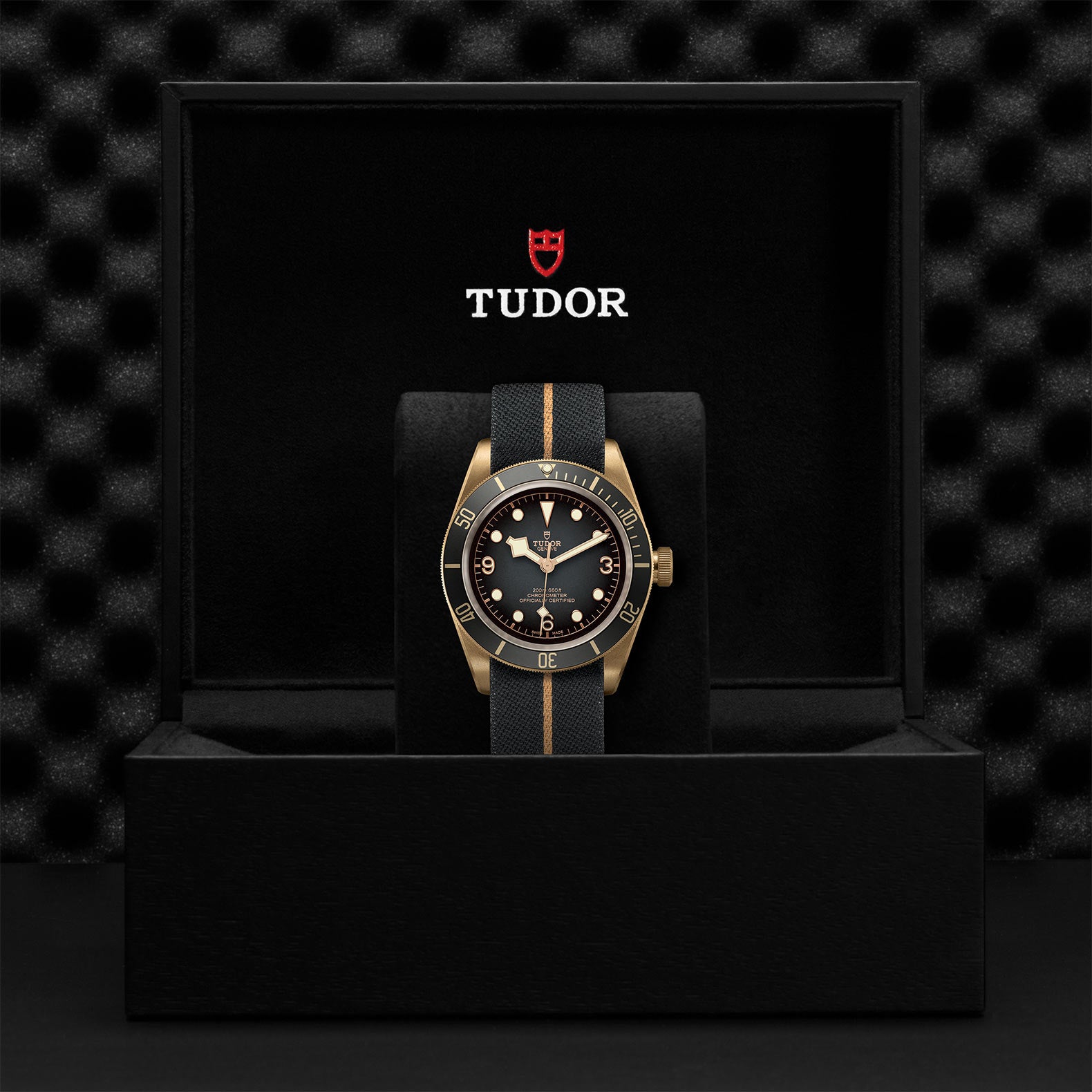 TUDOR Black Bay Bronze 43mm M79250BA-0002