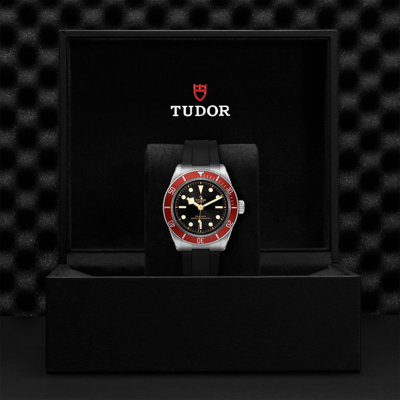 TUDOR Black Bay M7941A1A0RU-0002