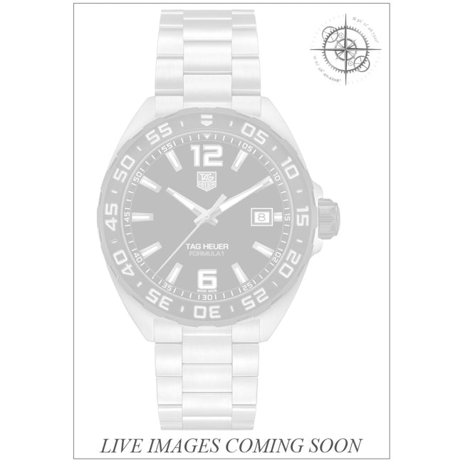 Tag Heuer WAZ1110.BA0875 F1
