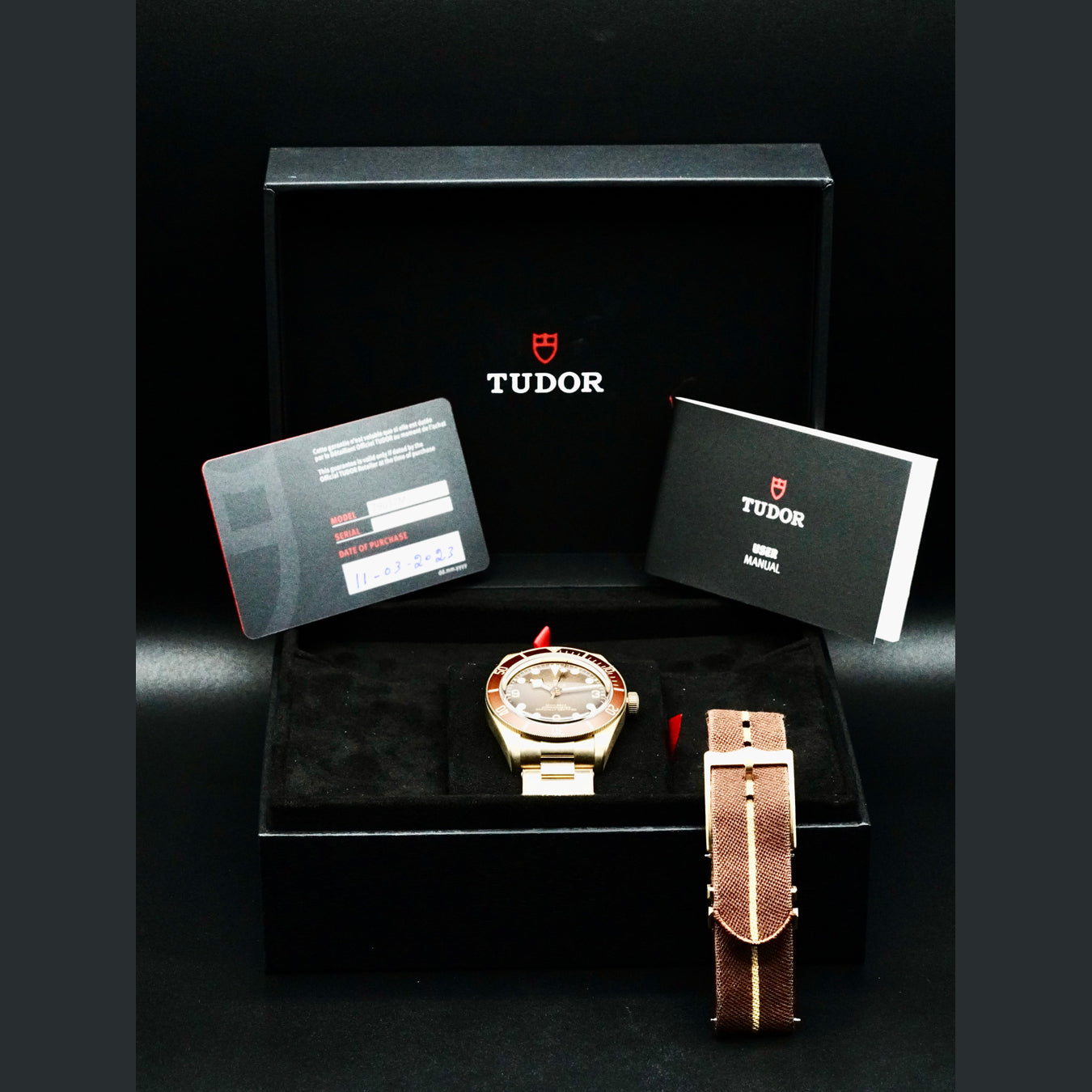 Tudor Black Bay 58 Bronze 79012M