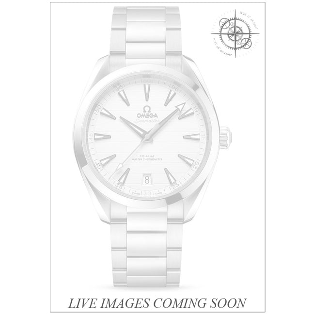 Omega 220.10.41.21.02.001 Seamaster Aqua Terra