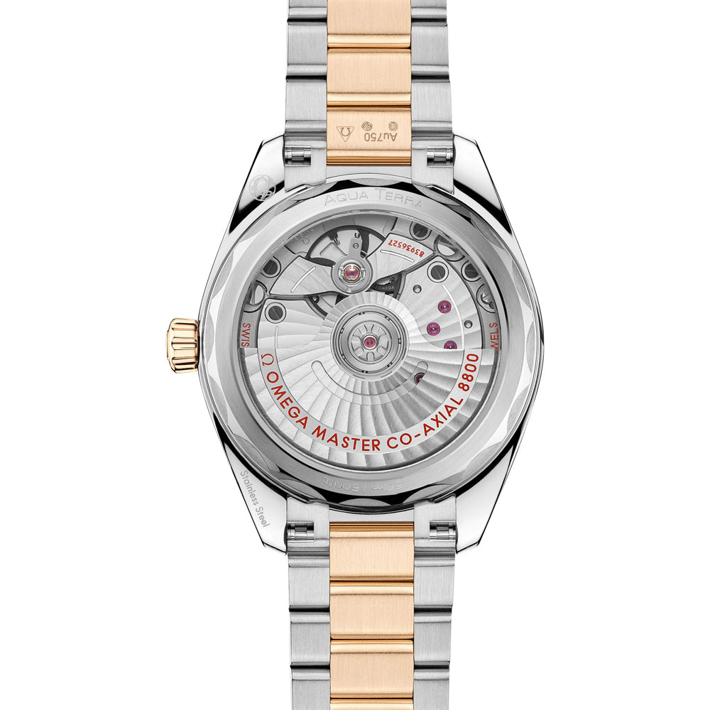 Omega 220.20.34.20.10.002 Seamaster Aqua Terra Shades Steel and Moonshine Gold