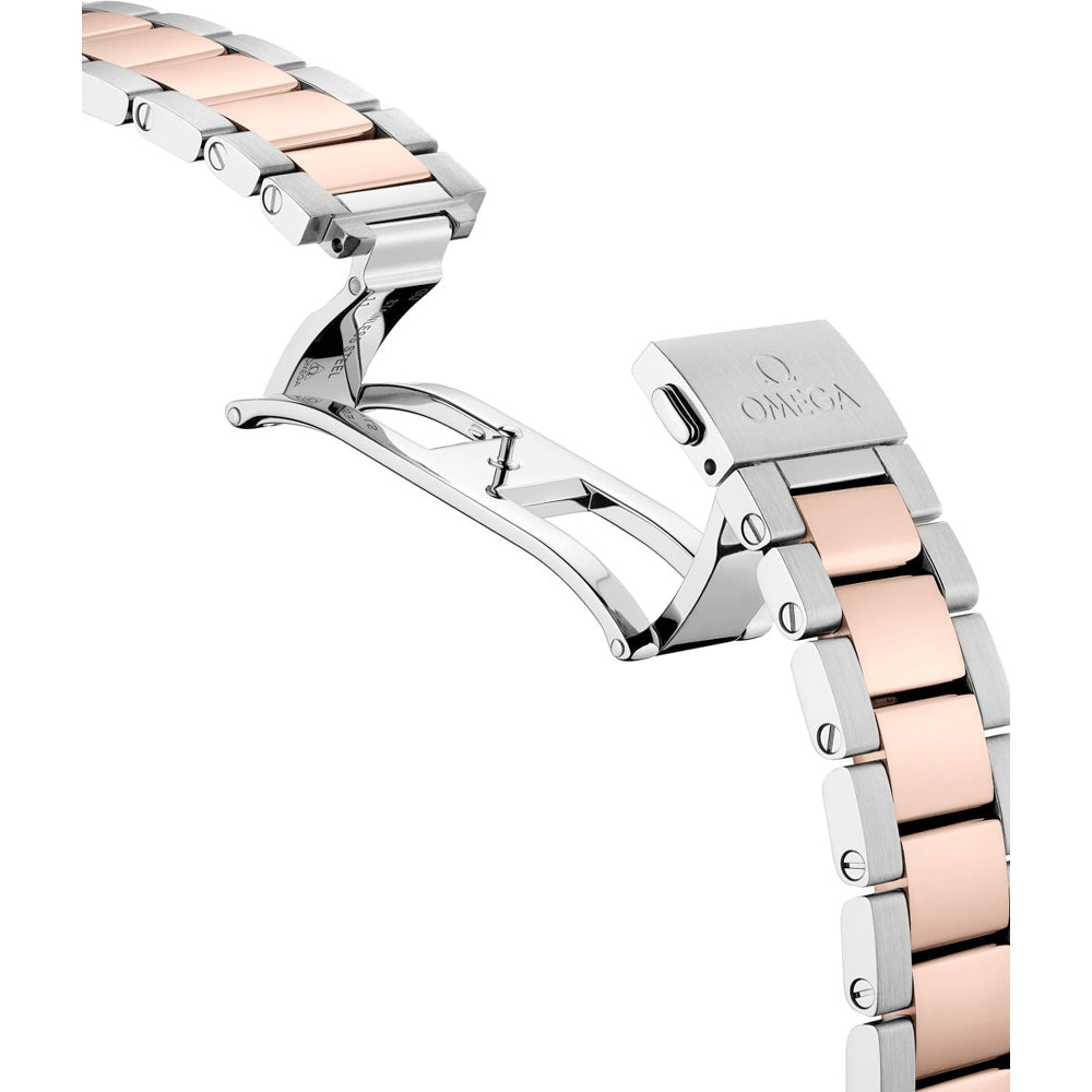 Omega 220.20.41.21.06.001 Seamaster Aqua Terra 41mm Steel and Sedna Gold