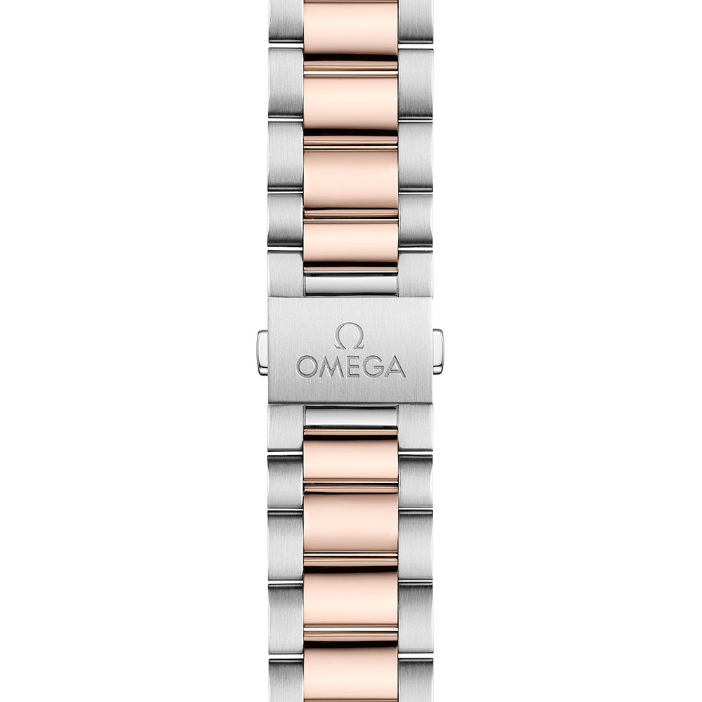 Omega 220.20.41.21.02.001 Seamaster Aqua Terra 41mm Steel and Sedna Gold on Bracelet