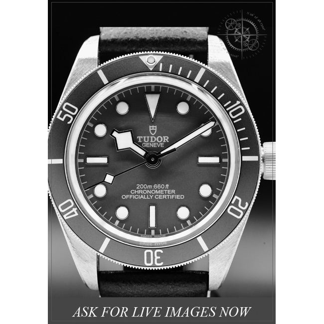 Tudor 79010SG on Leather Strap
