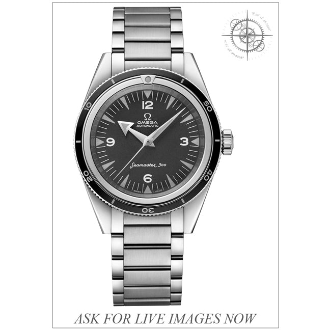 Omega 234.10.39.20.01.001 1957 Seamaster 300 Co-Axial Master Chronometer