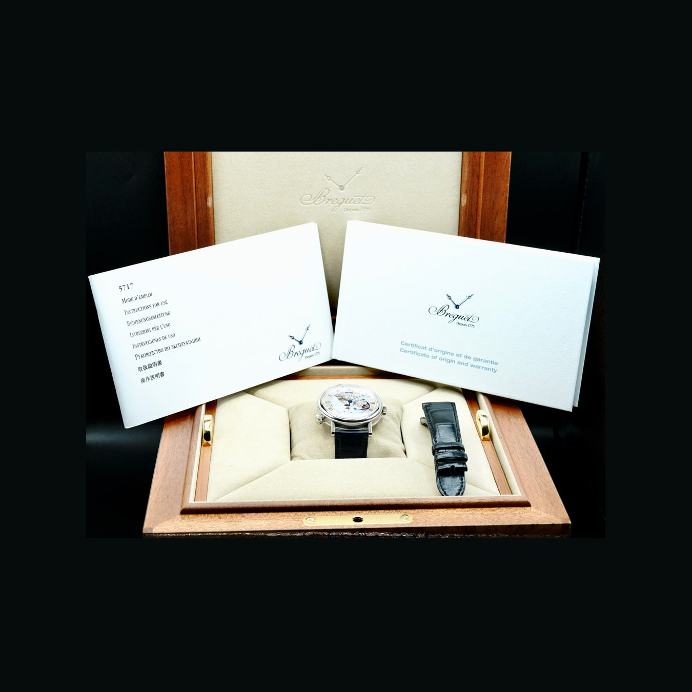 Breguet 5717PT/US/9ZU Classique Hora Mundi
