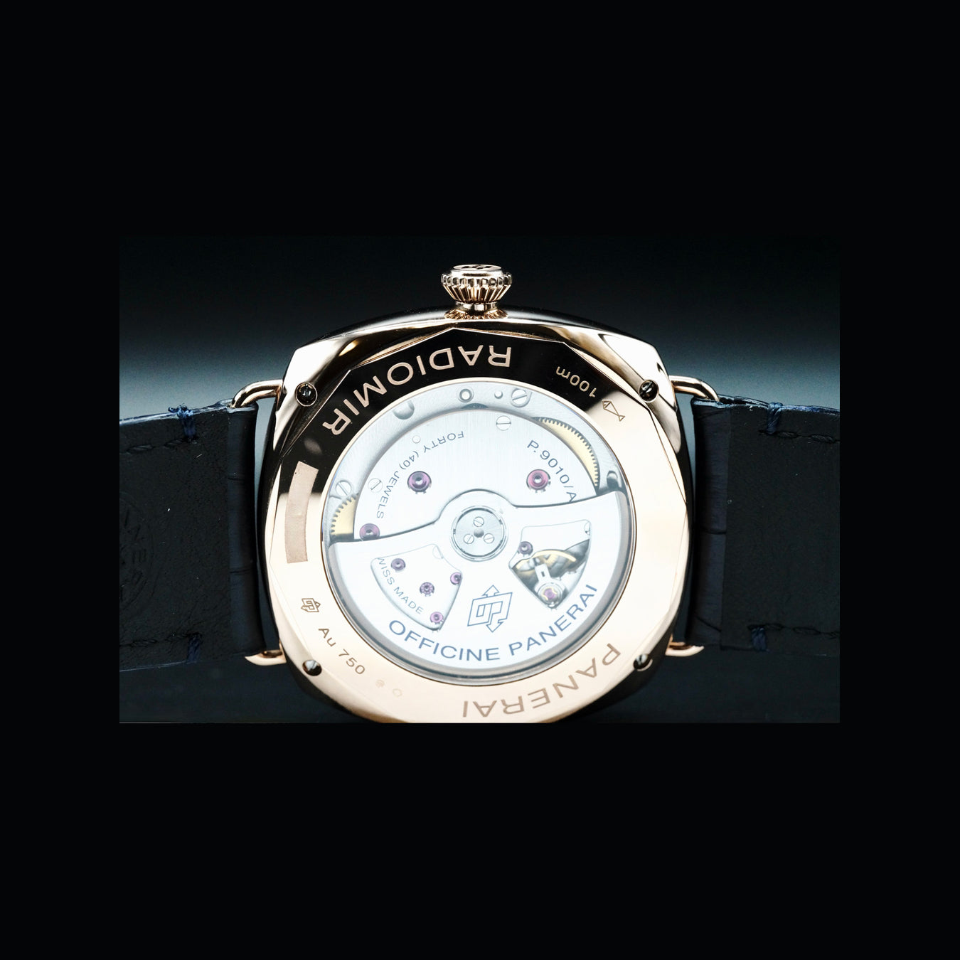 Panerai PAM01363 Radiomir Annual Calendar Goldtech