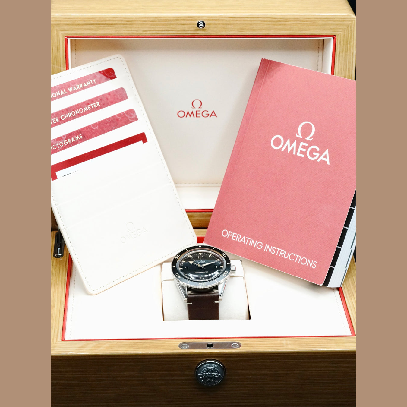 Omega 234.32.41.21.01.001 Seamaster 300 Master Chronometer