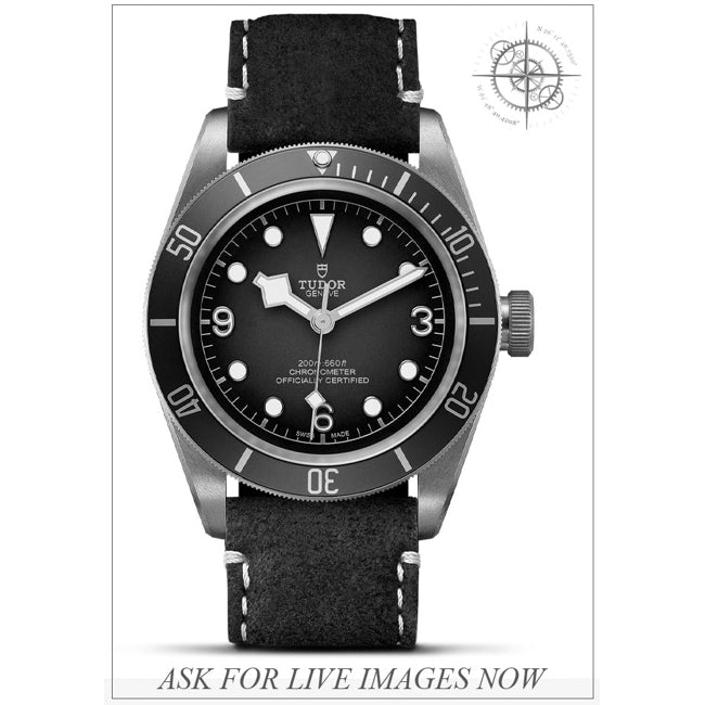 Tudor 79250BM Bronze