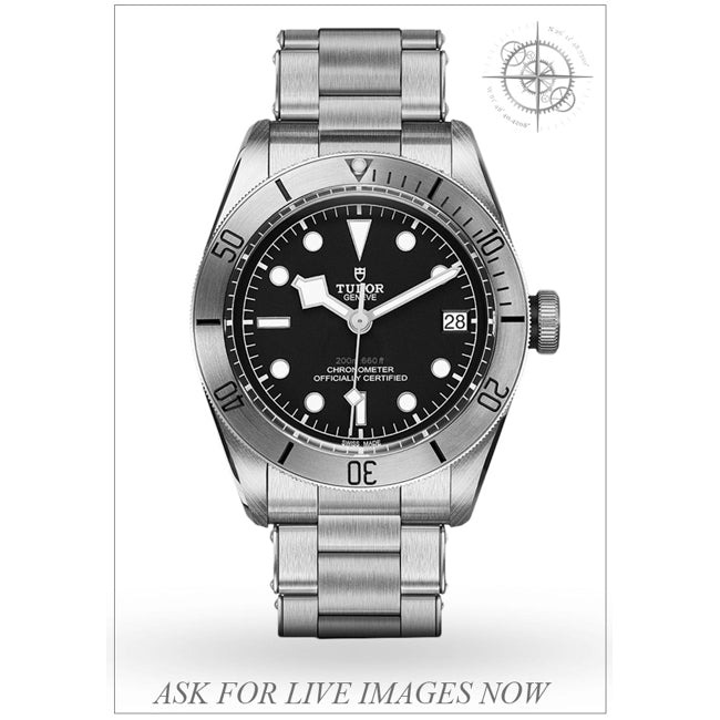 Tudor Black Bay M79730-006