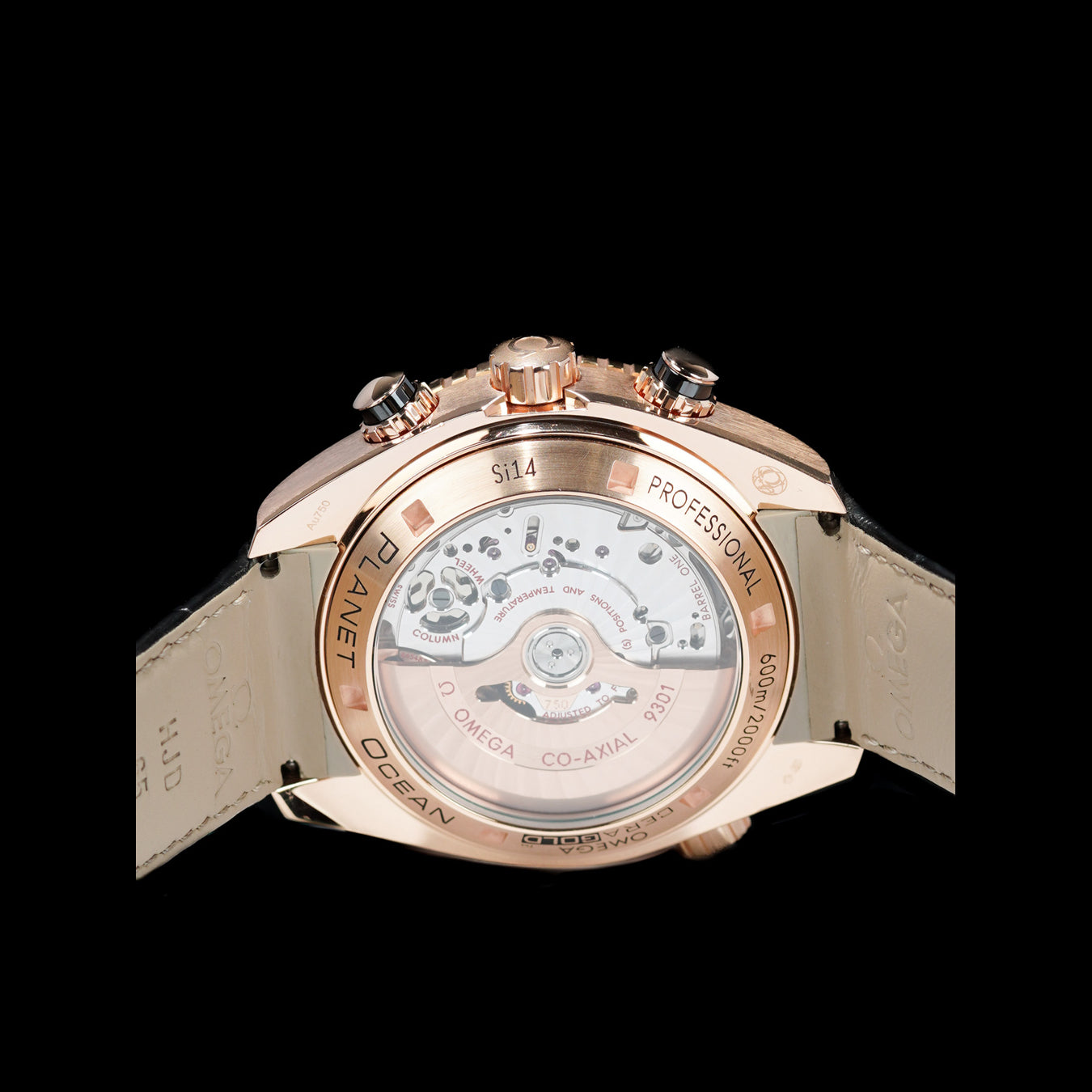 Omega 232.63.46.51.01.001 Planet Ocean 600M Co-Axial Chronograph 45.5mm