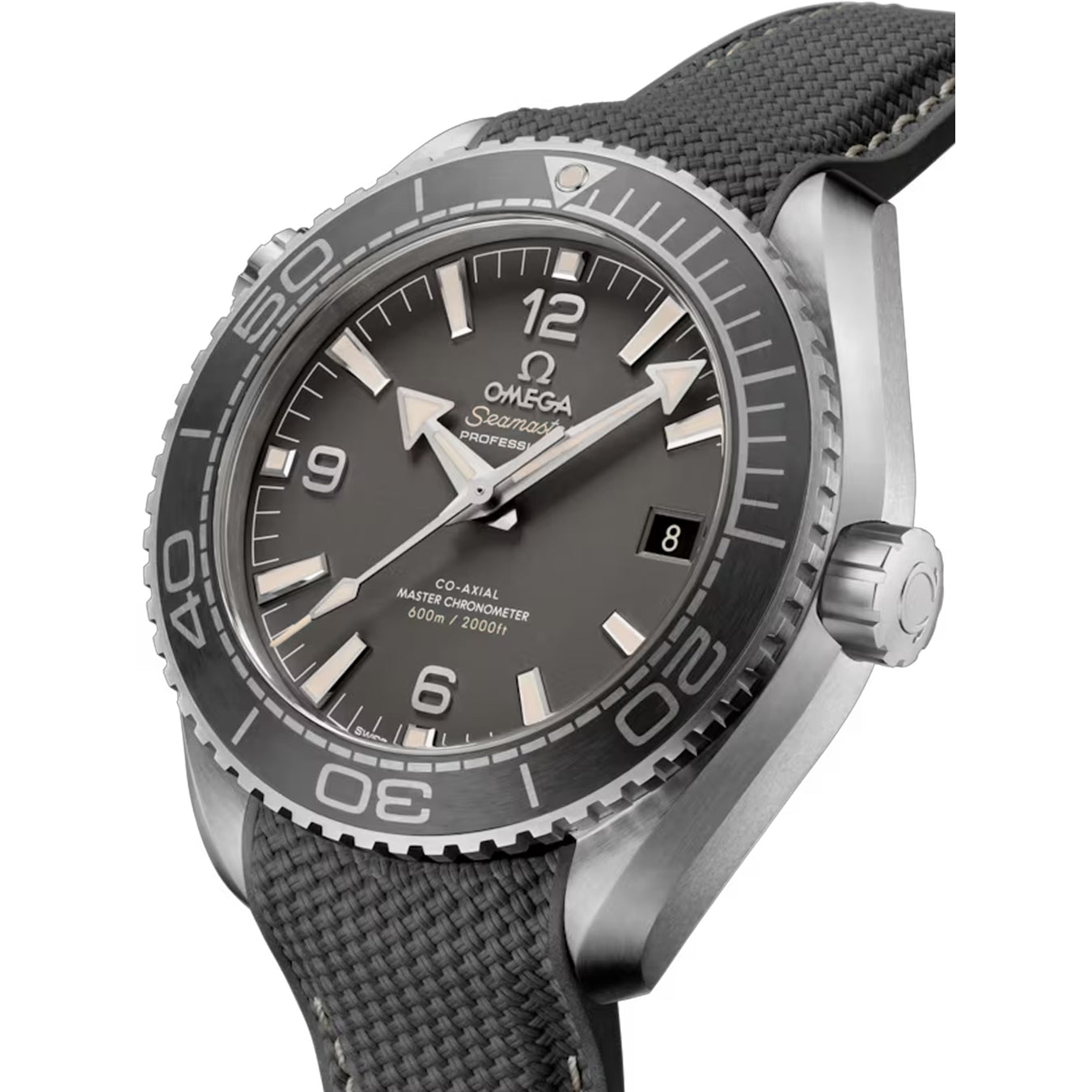 Omega 215.32.44.21.01.002 Planet Ocean Seamaster 600M Grey