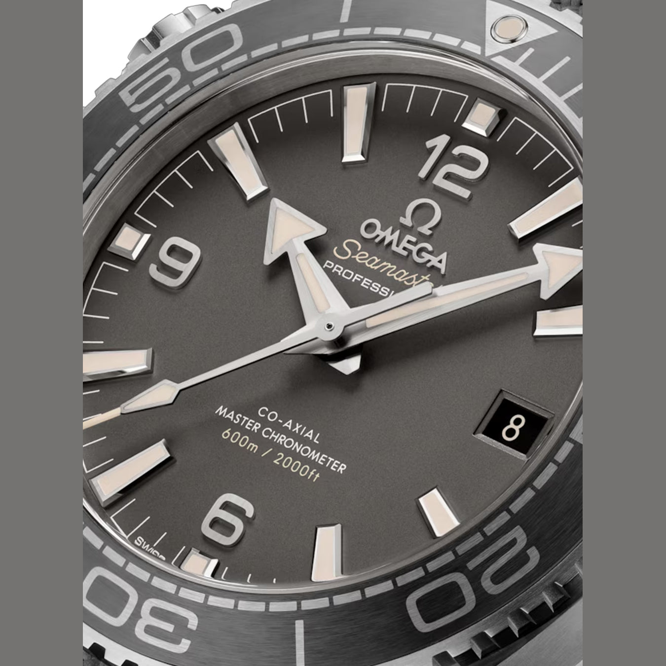 Omega 215.32.44.21.01.002 Planet Ocean Seamaster 600M Grey
