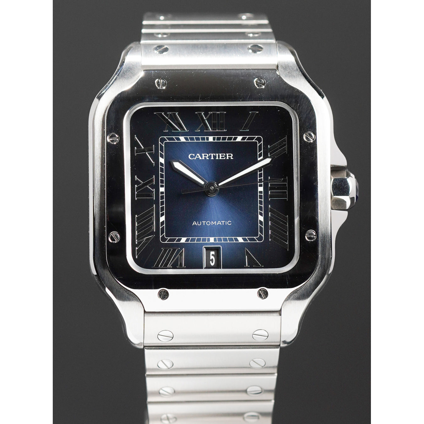 Cartier WSSA0030 Santos