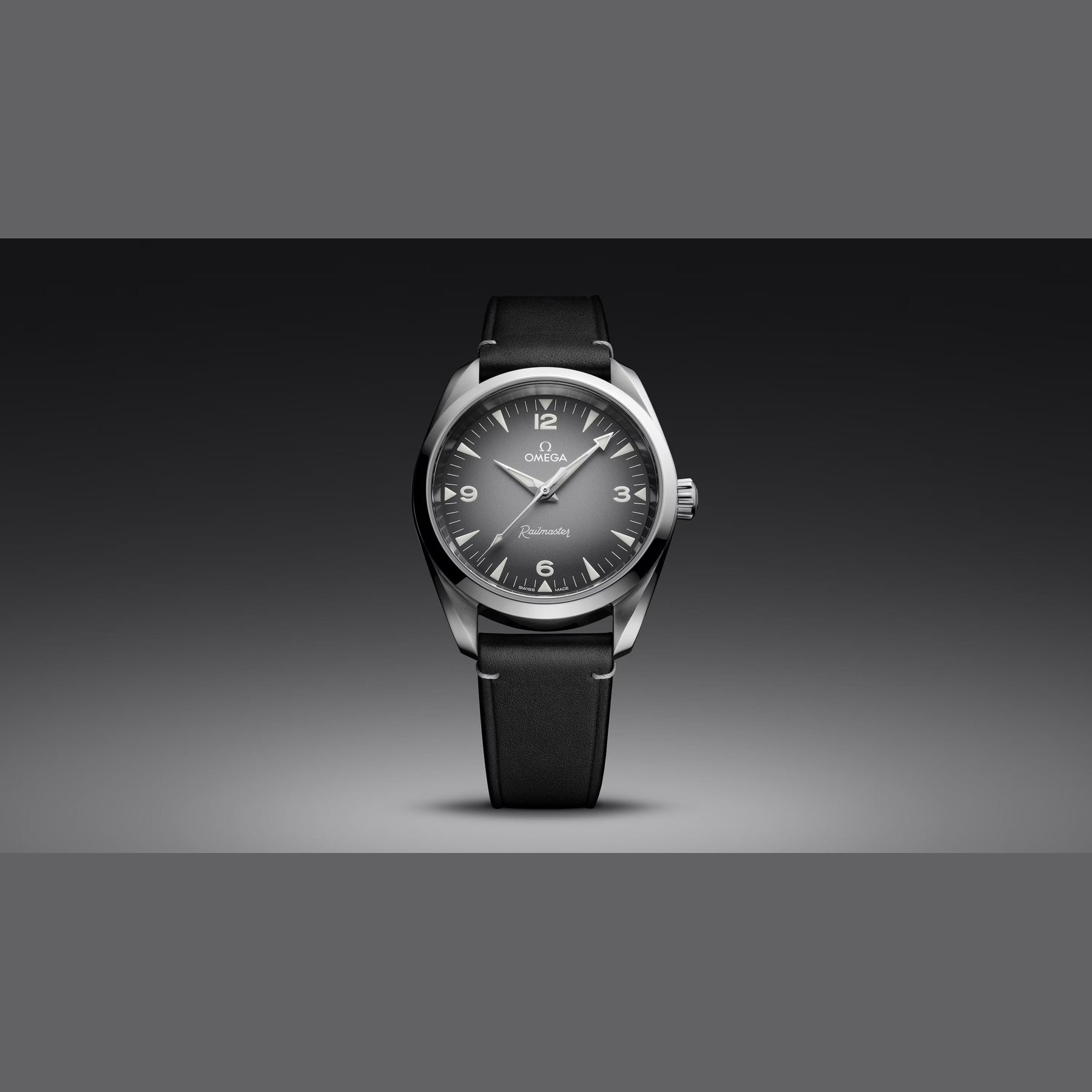 Omega 235.12.38.20.06.001 Railmaster on Leather Strap