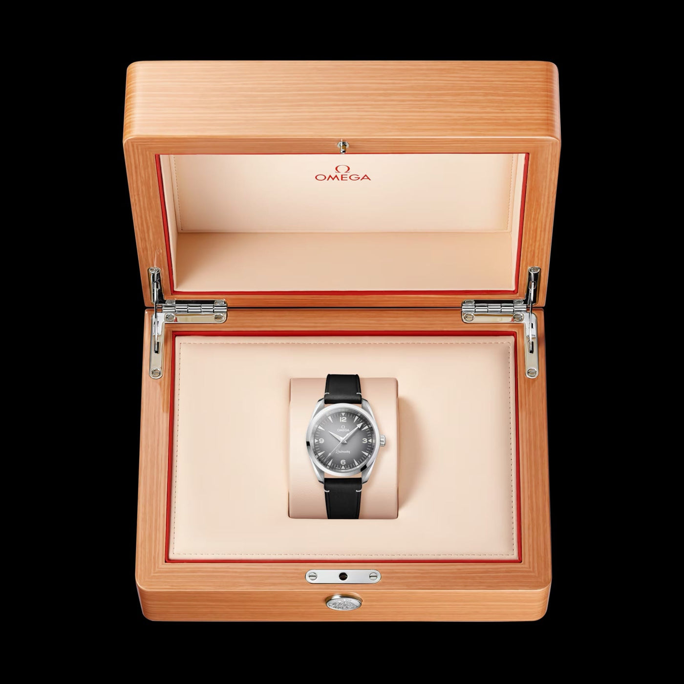 Omega 235.12.38.20.06.001 Railmaster on Leather Strap