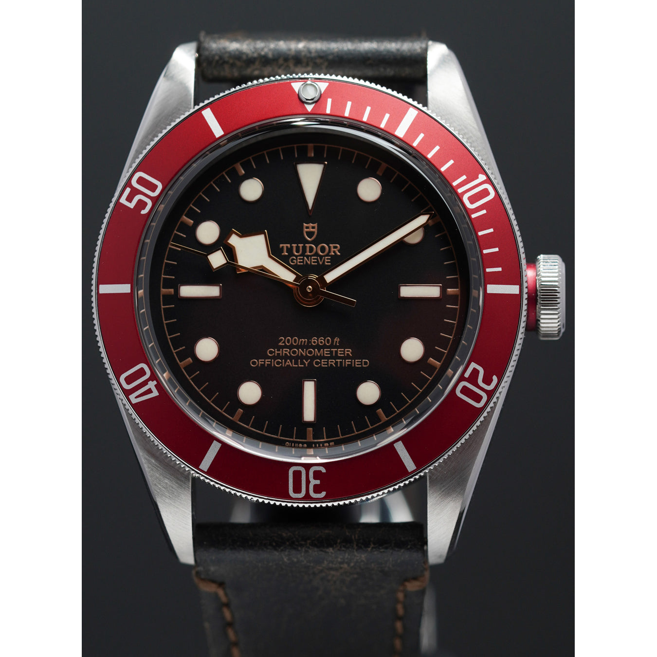 Tudor Black Bay 41 M79230R-0011