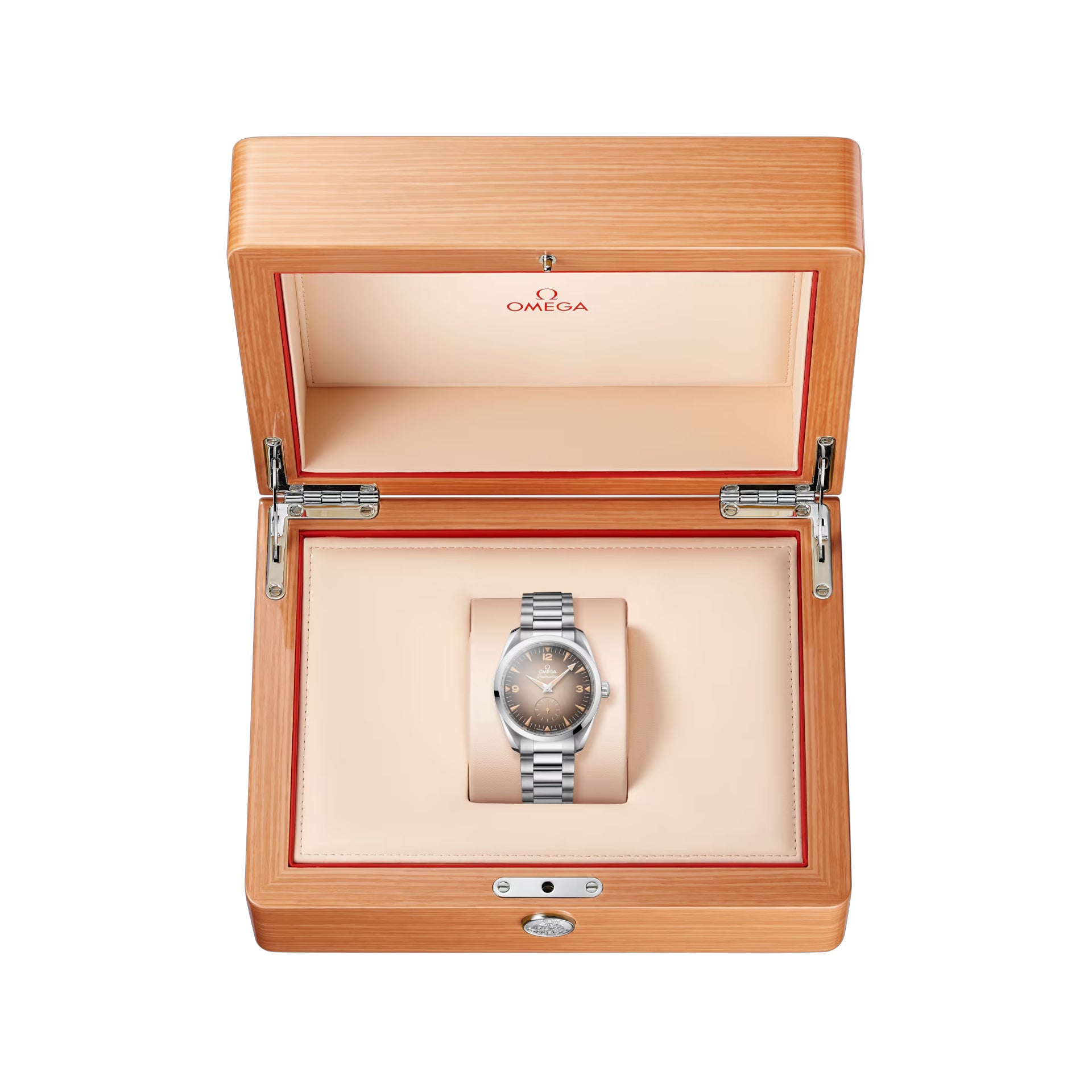 Omega 235.10.38.20.13.001 Railmaster on Bracelet