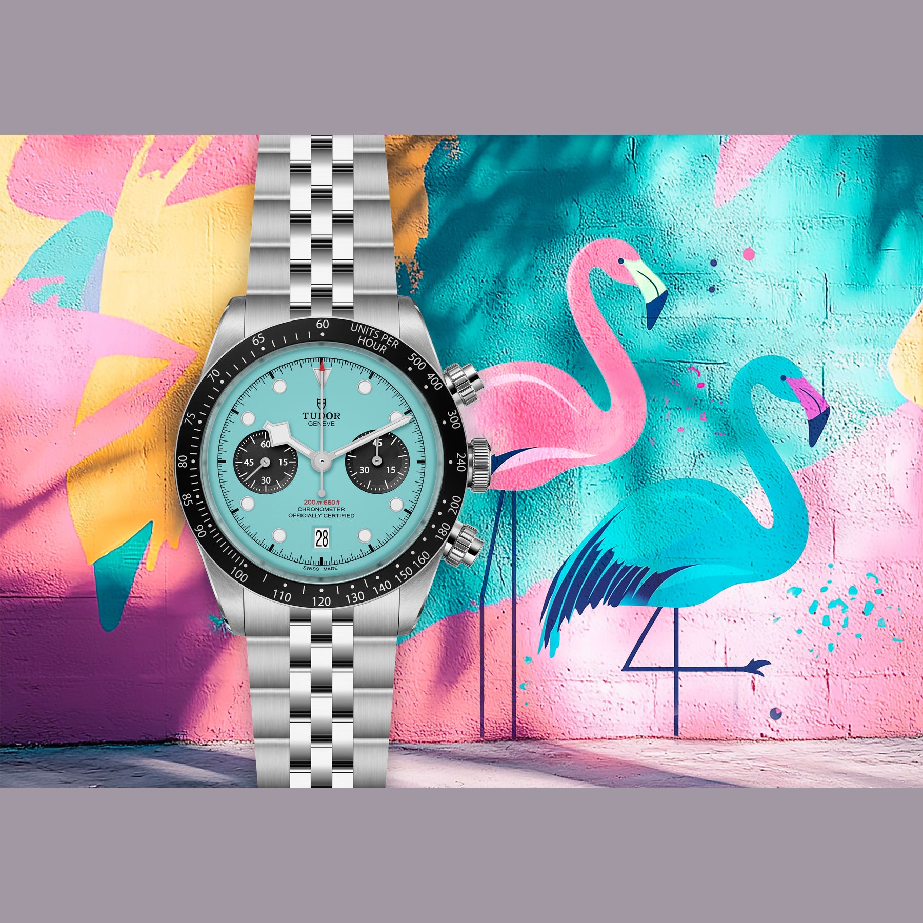 TUDOR Black Bay Chrono Flamingo Blue M79360N-0024