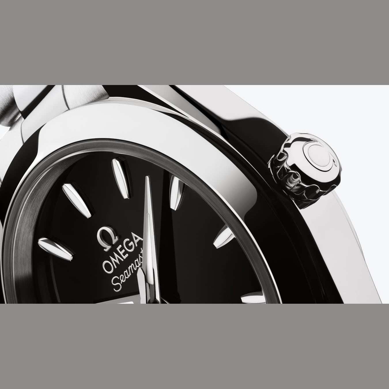 Omega 220.10.30.20.01.001 Seamaster Aqua Terra 150M Steel 30mm