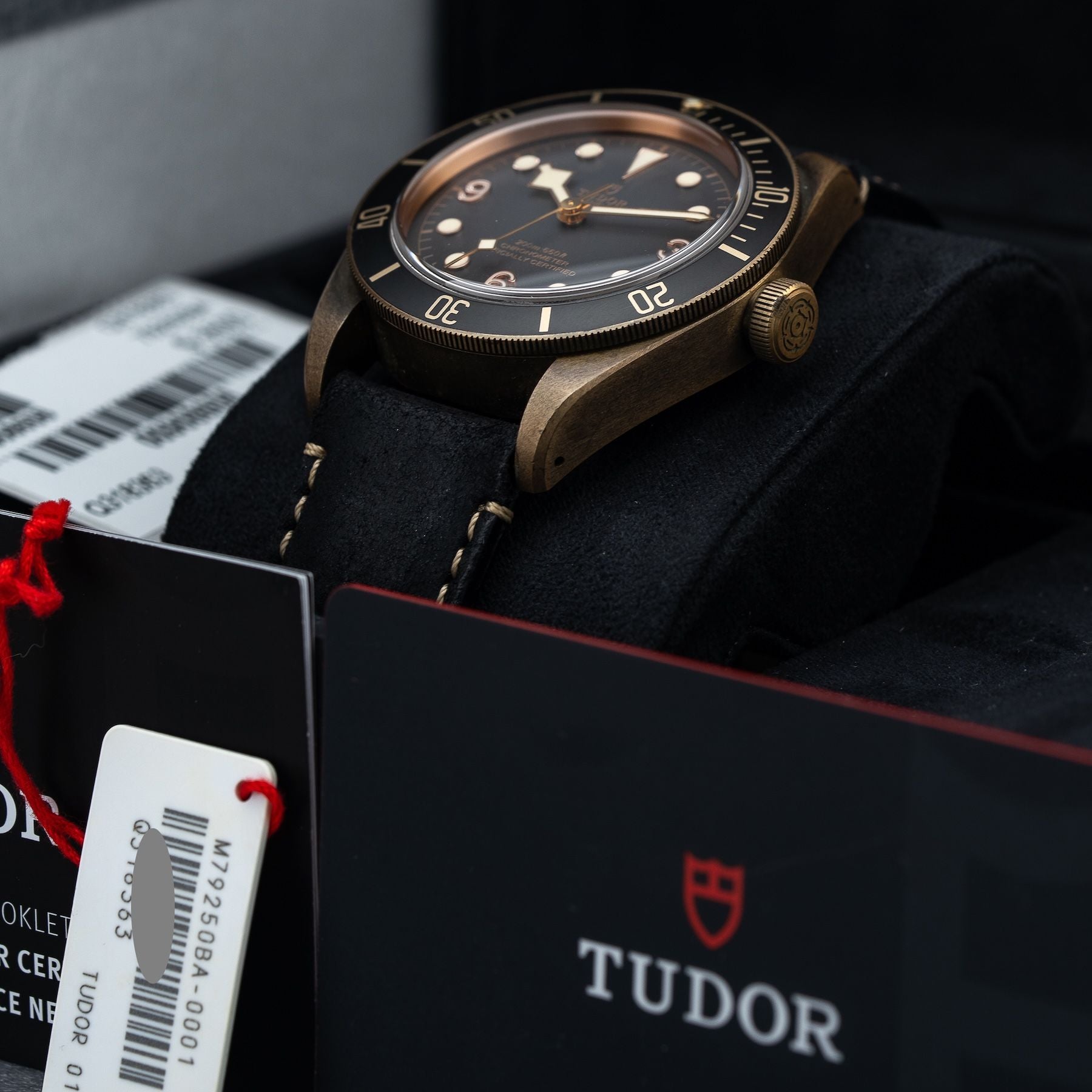 TUDOR 79250BA Black Bay Bronze 43mm