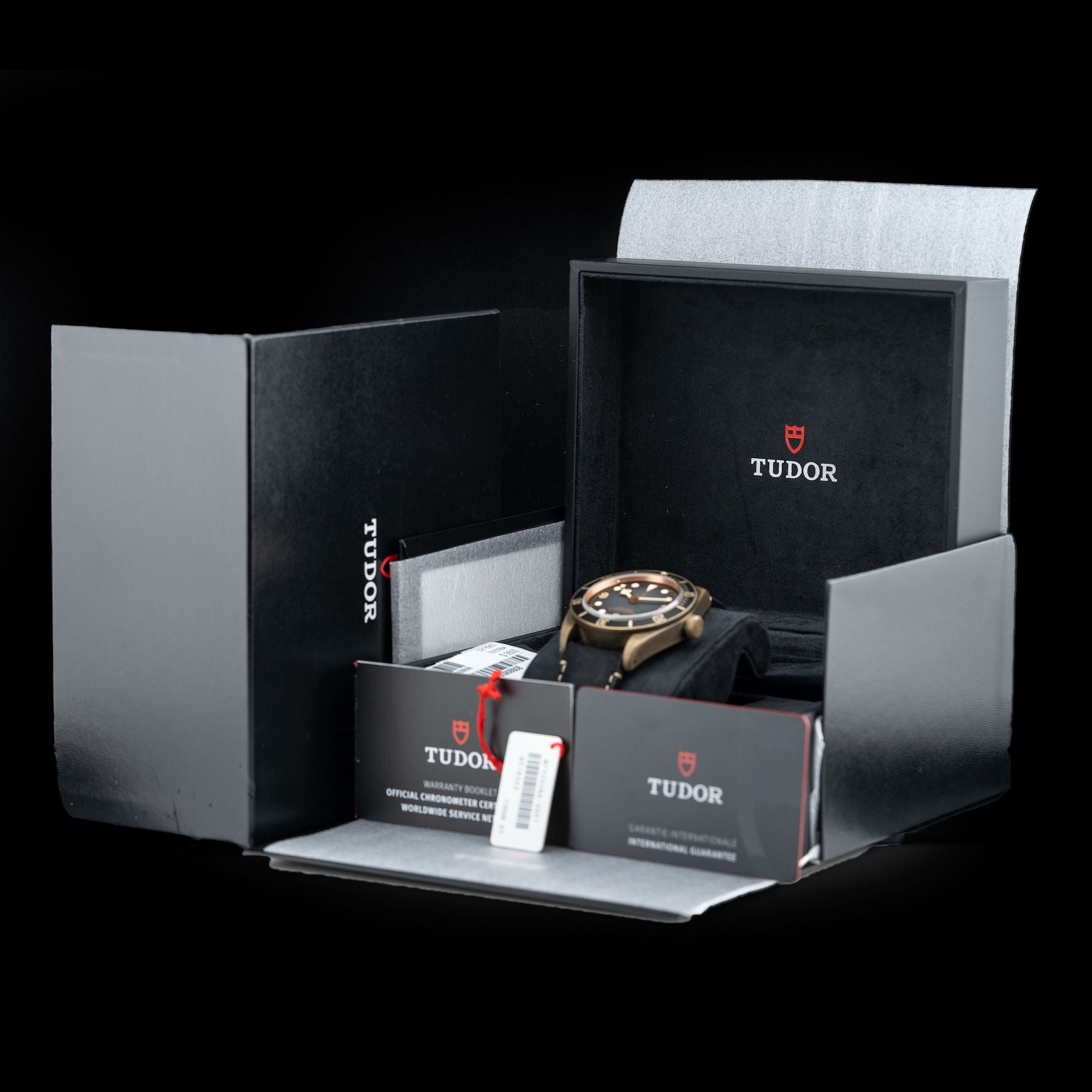 TUDOR 79250BA Black Bay Bronze 43mm