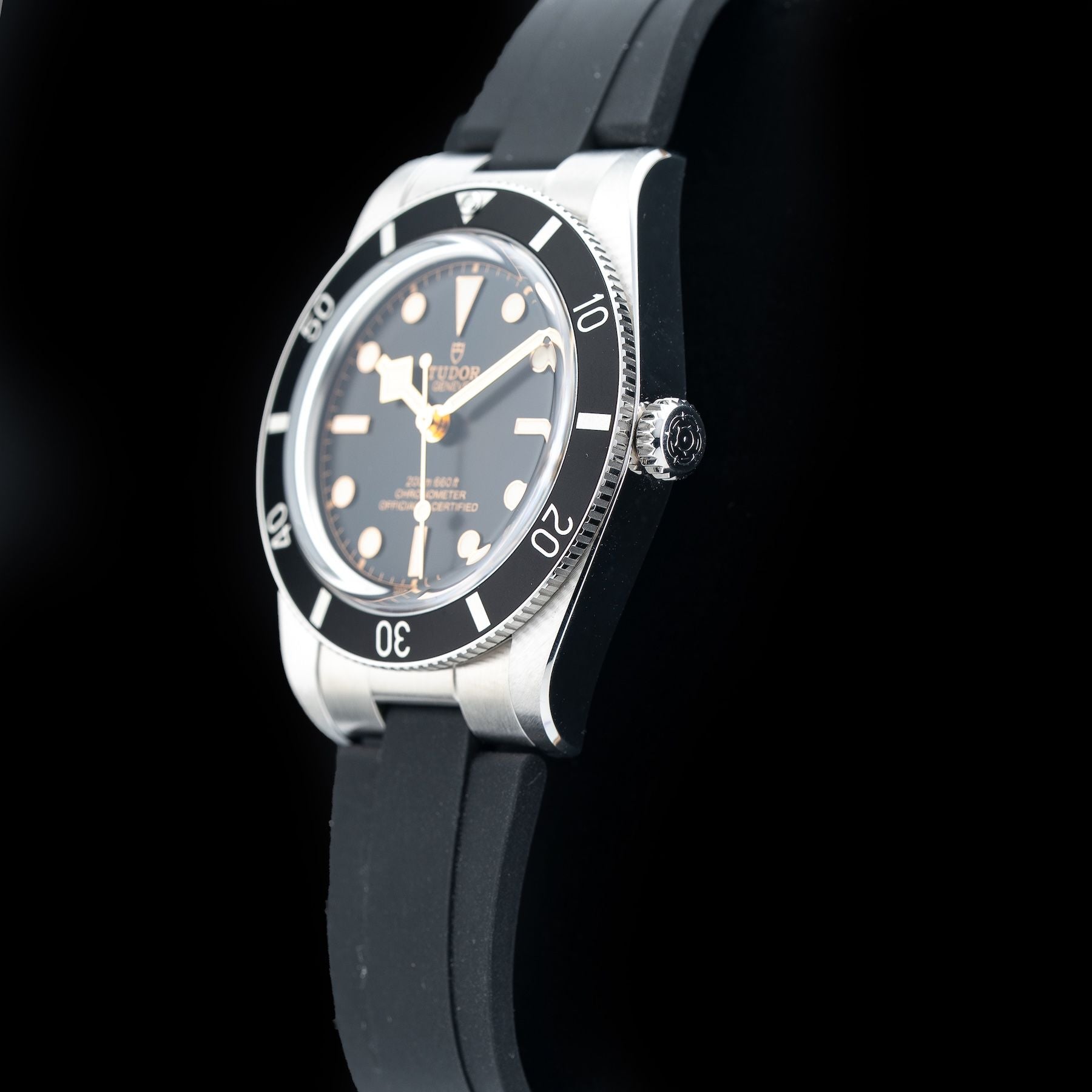 TUDOR M79000N Black Bay 54