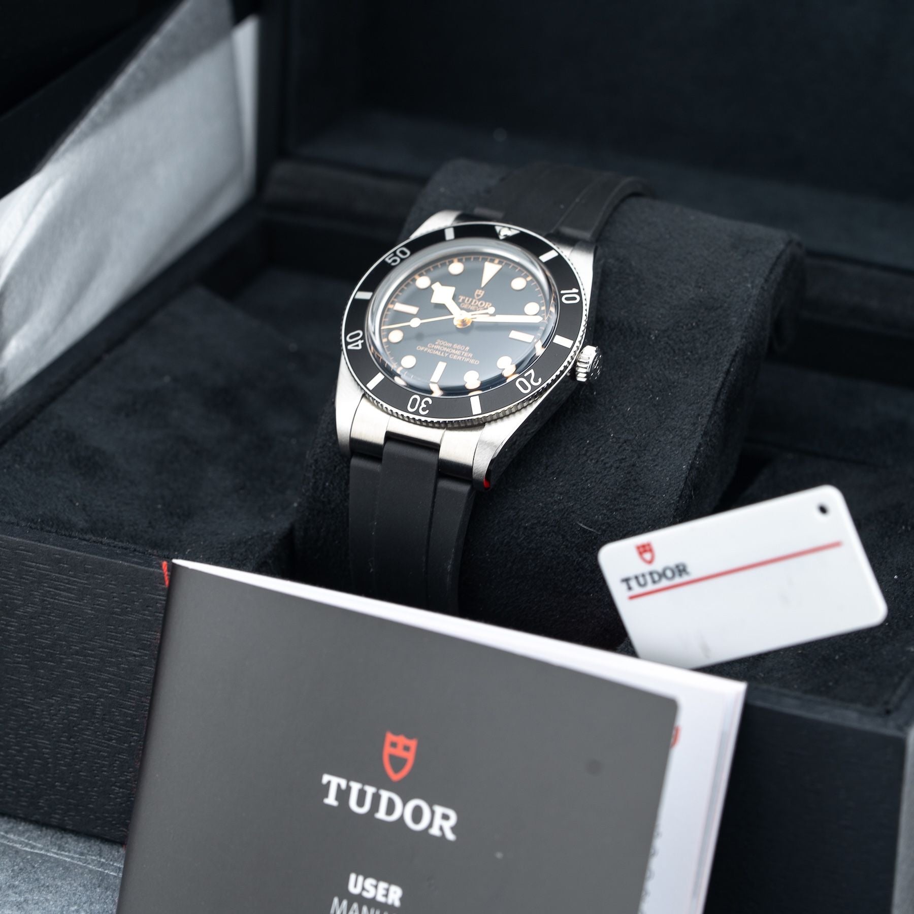 TUDOR M79000N Black Bay 54
