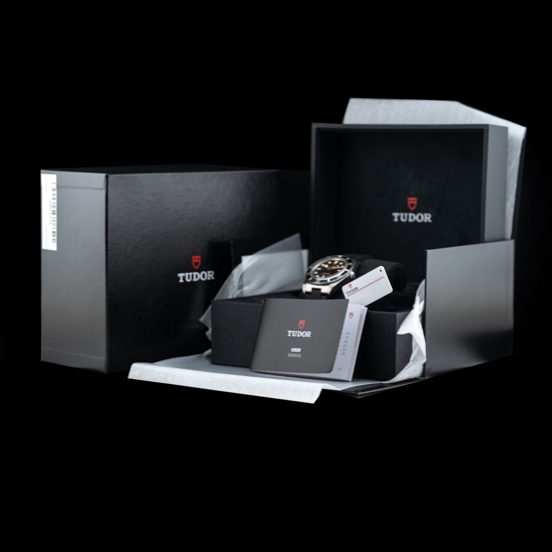 TUDOR M79000N Black Bay 54