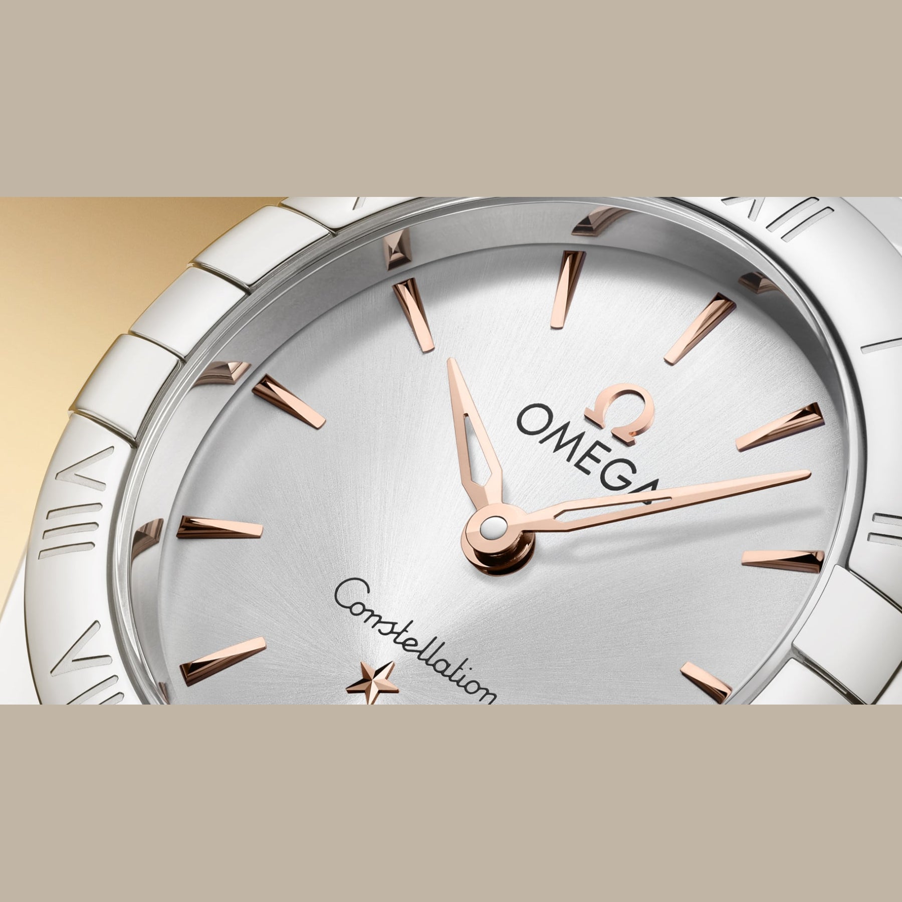 Omega 131.10.25.60.02.002 Constellation 25mm Steel