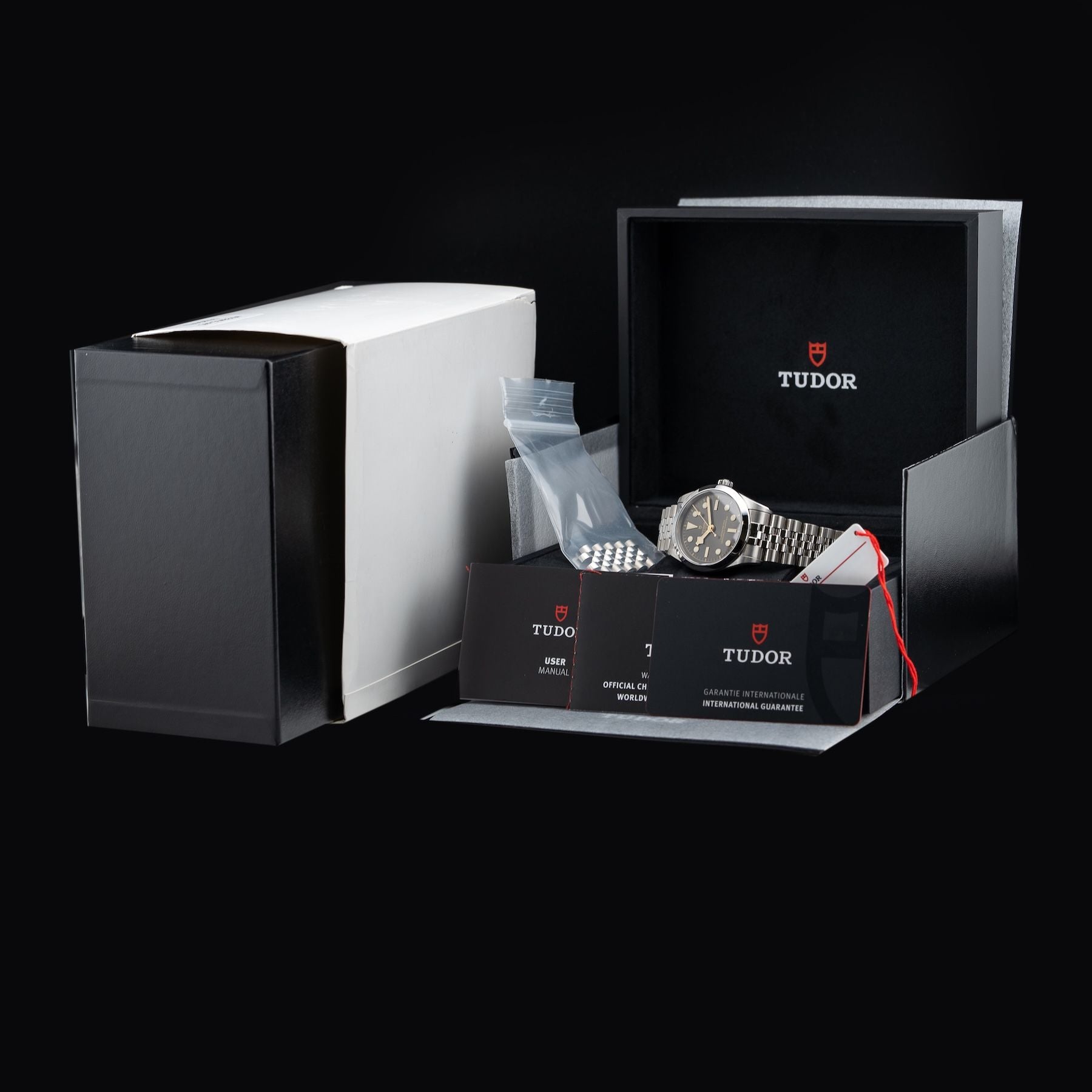 TUDOR M79640-0001 Black Bay 36