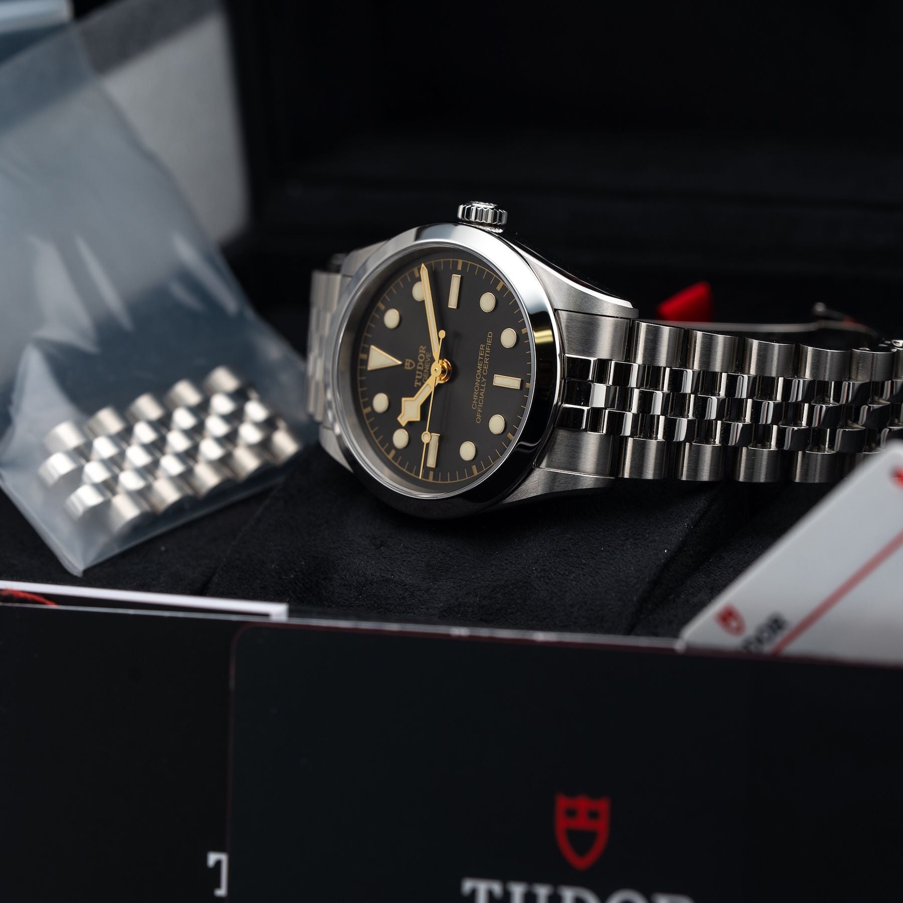 TUDOR M79640-0001 Black Bay 36
