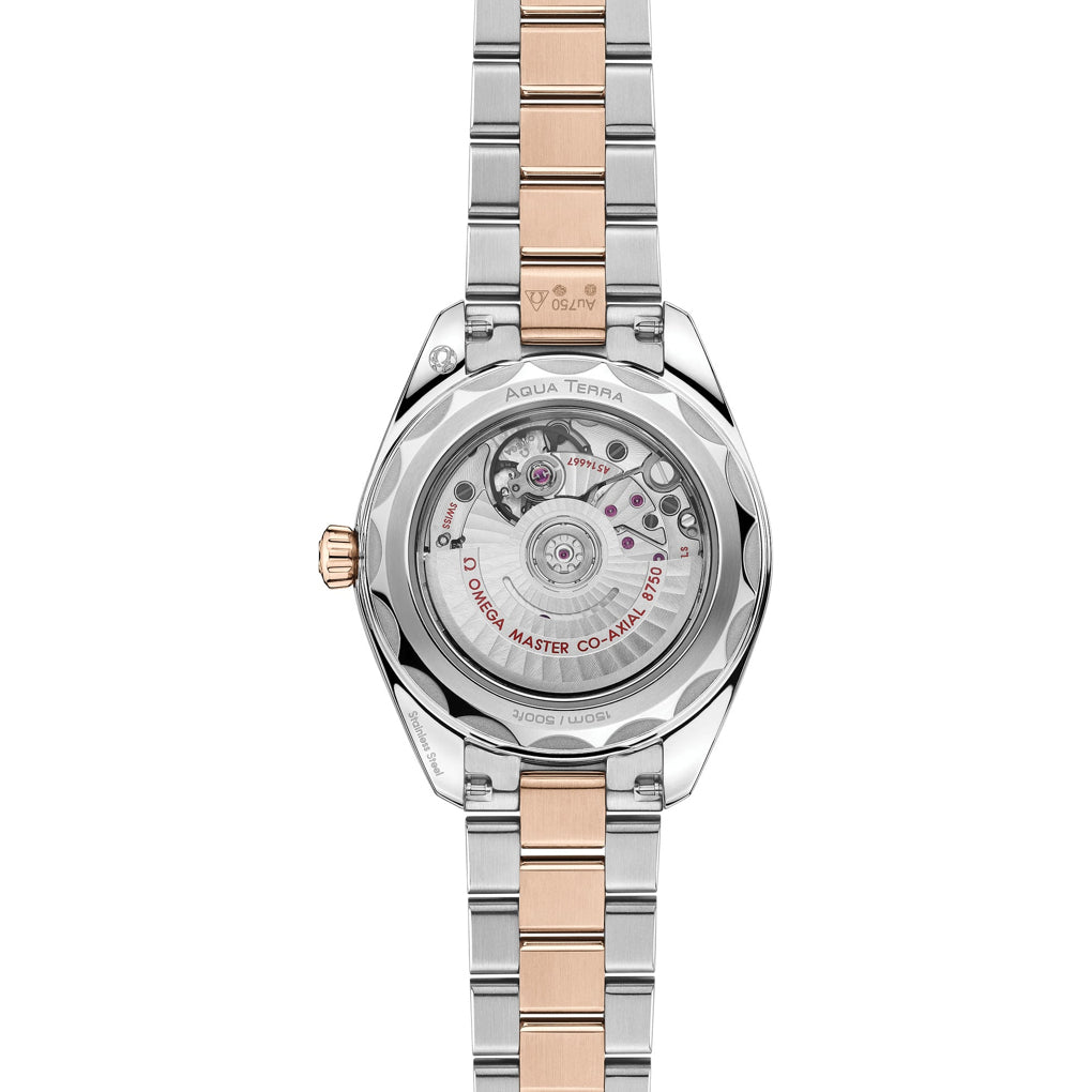 Omega 220.20.30.20.10.002 Seamaster Aqua Terra 150M