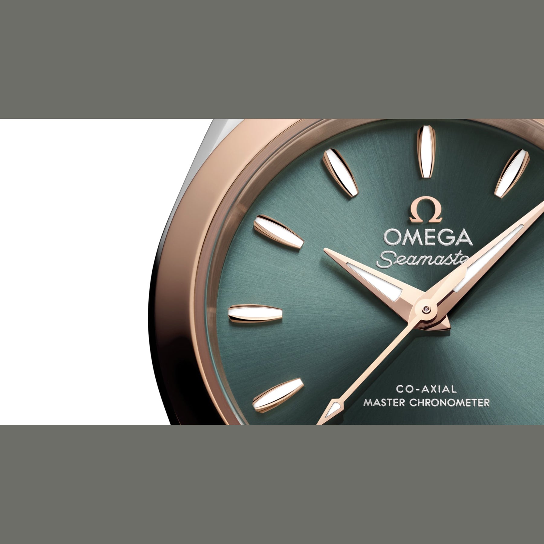 Omega 220.20.30.20.10.002 Seamaster Aqua Terra 150M