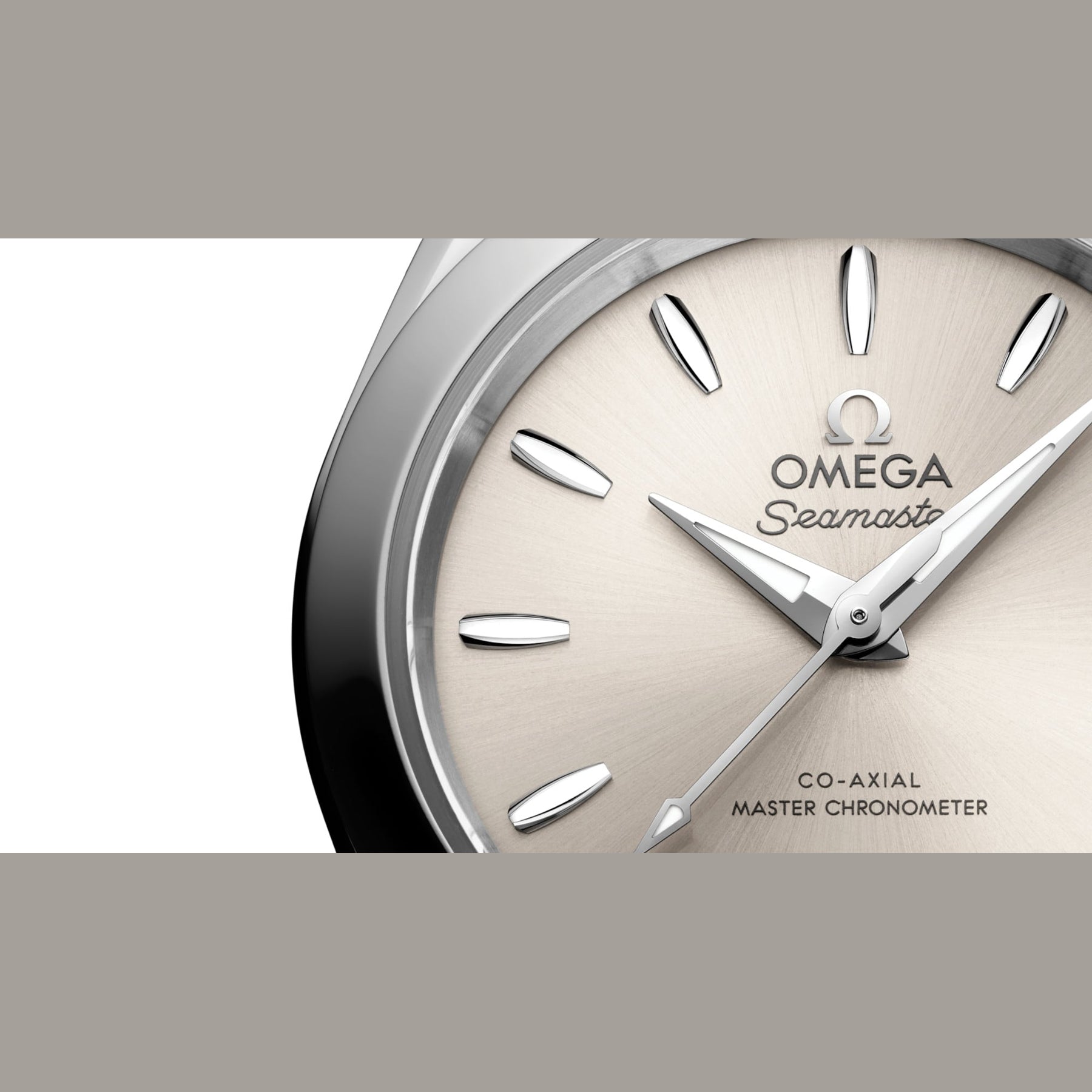 Omega 220.10.30.20.09.001 Seamaster Aqua Terra 150M